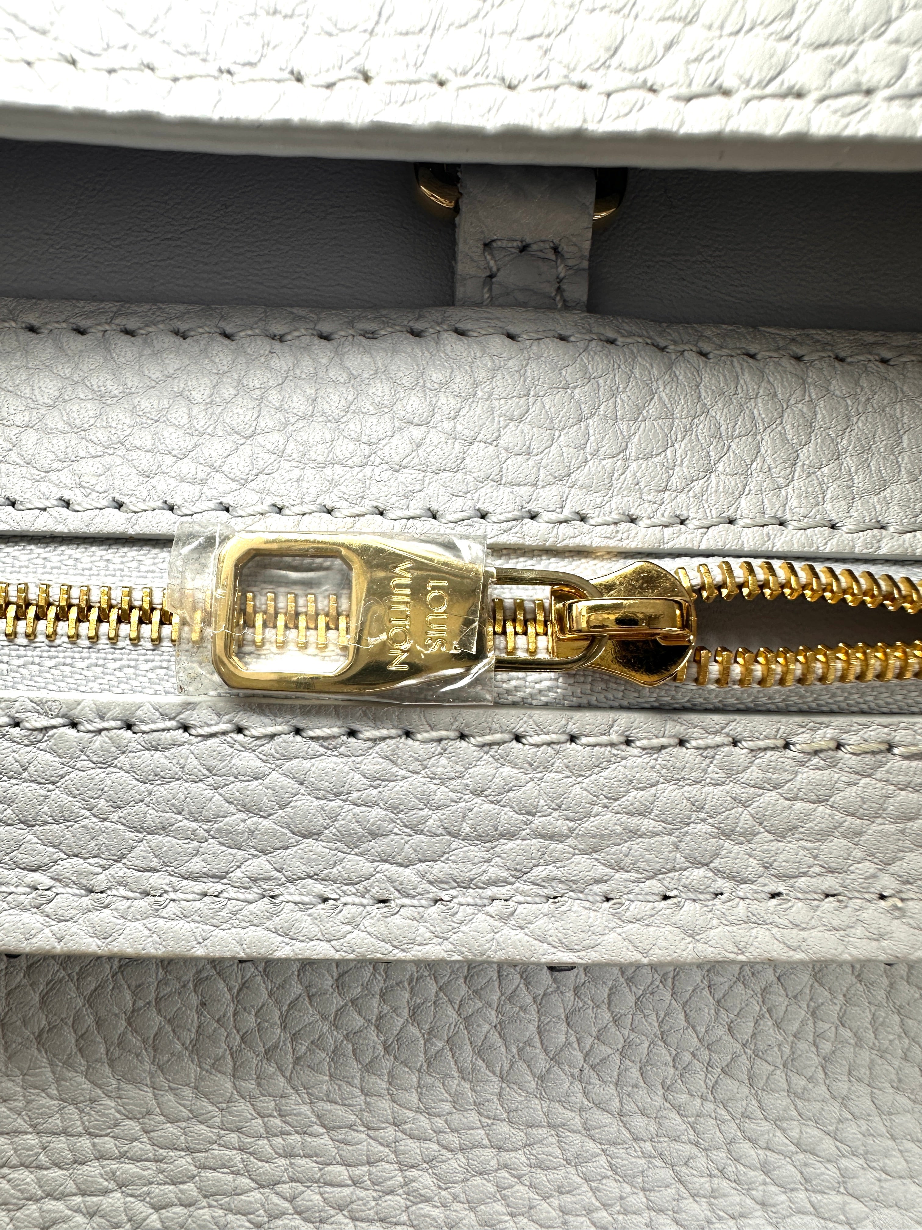 Louis Vuitton Capucines PM Light Blue Taurillon Leather Python Handle Bag LV3136