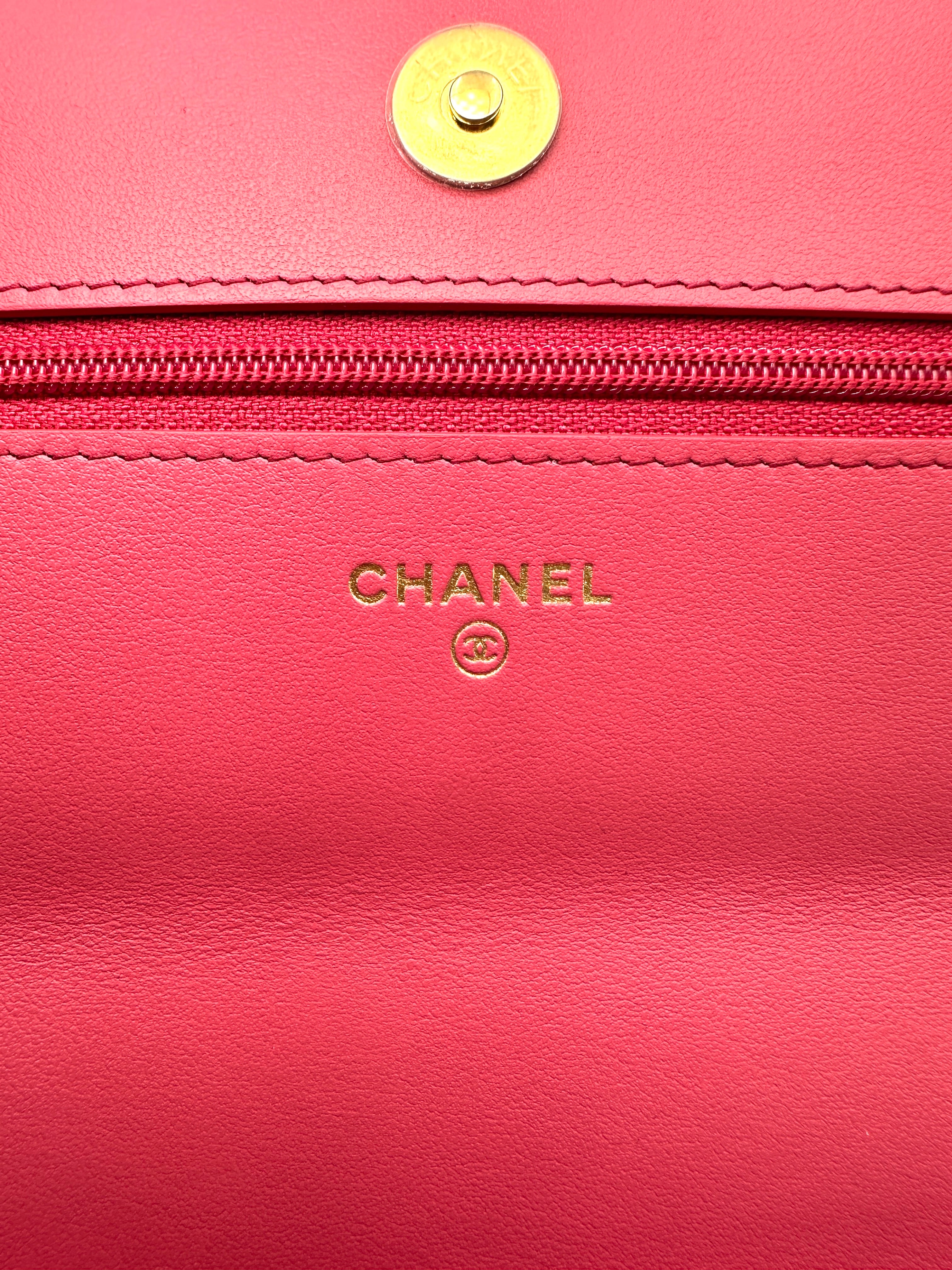 Chanel 19Bag Pink Quilted Leather Wallet On Chain(29***55) CC2314