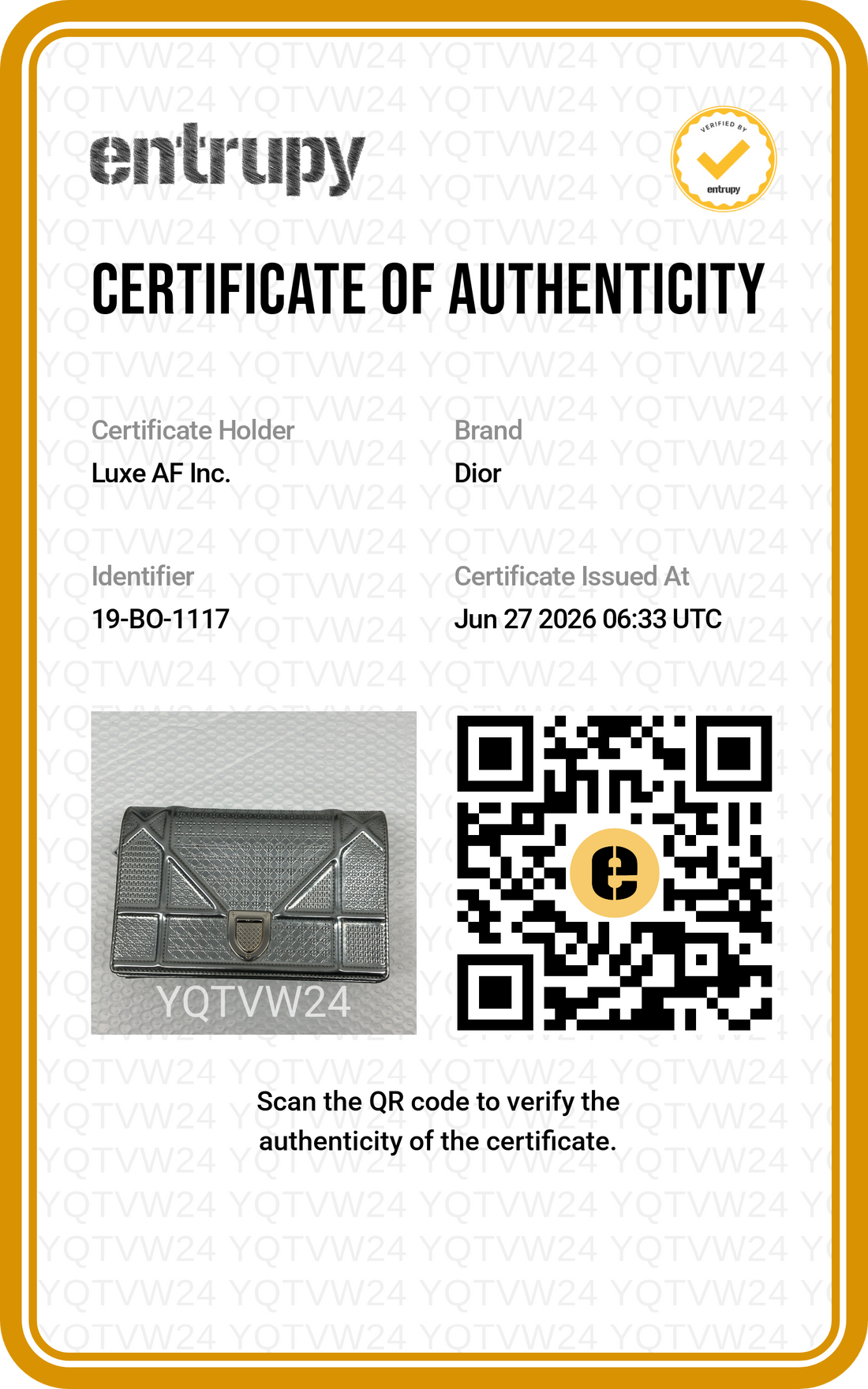 Christian Dior Diorama Silver Leather Shoulder Bag DR836