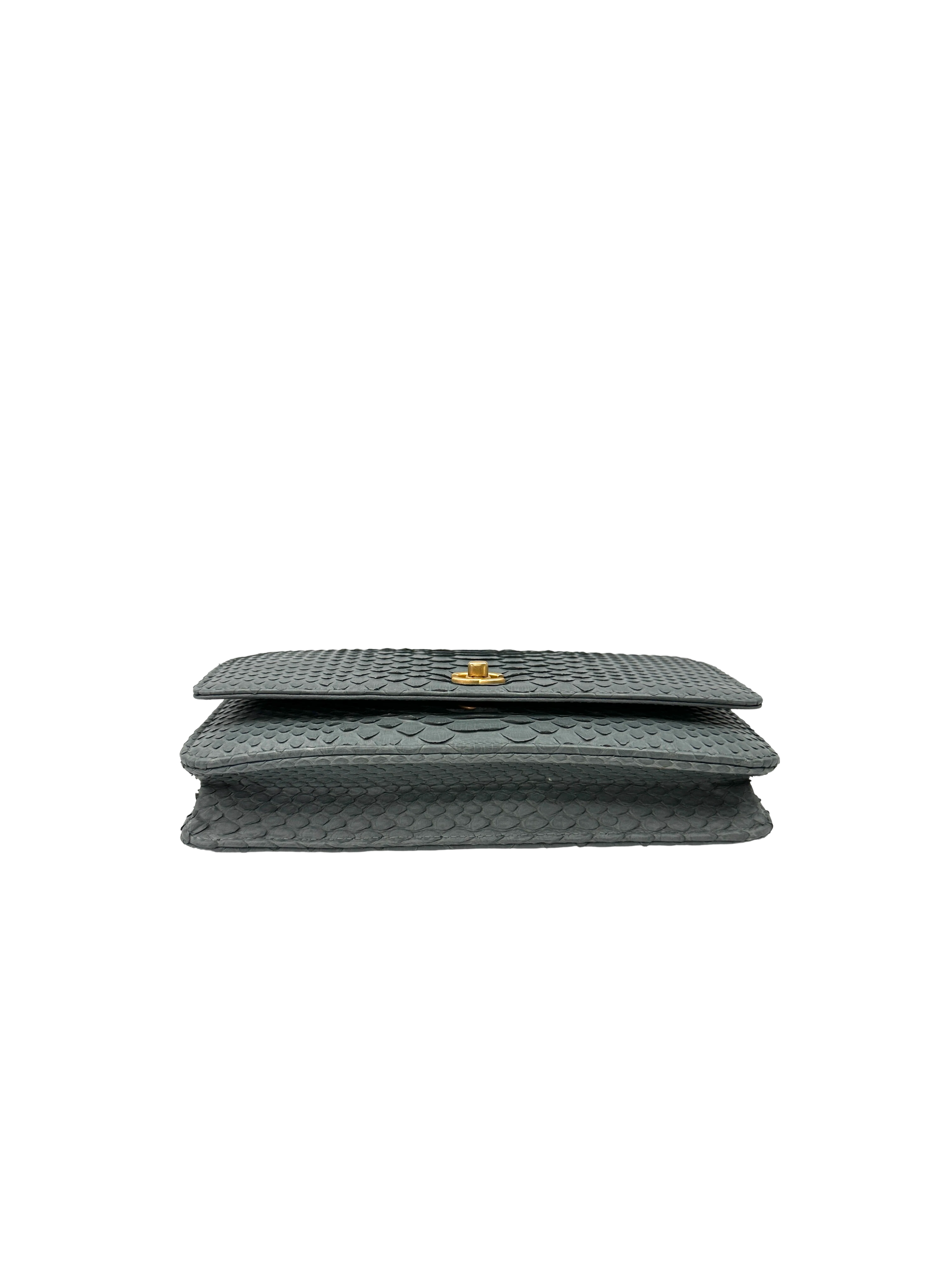 Chanel Blue Python Leather Wallet On Chain(25***08) CC2370
