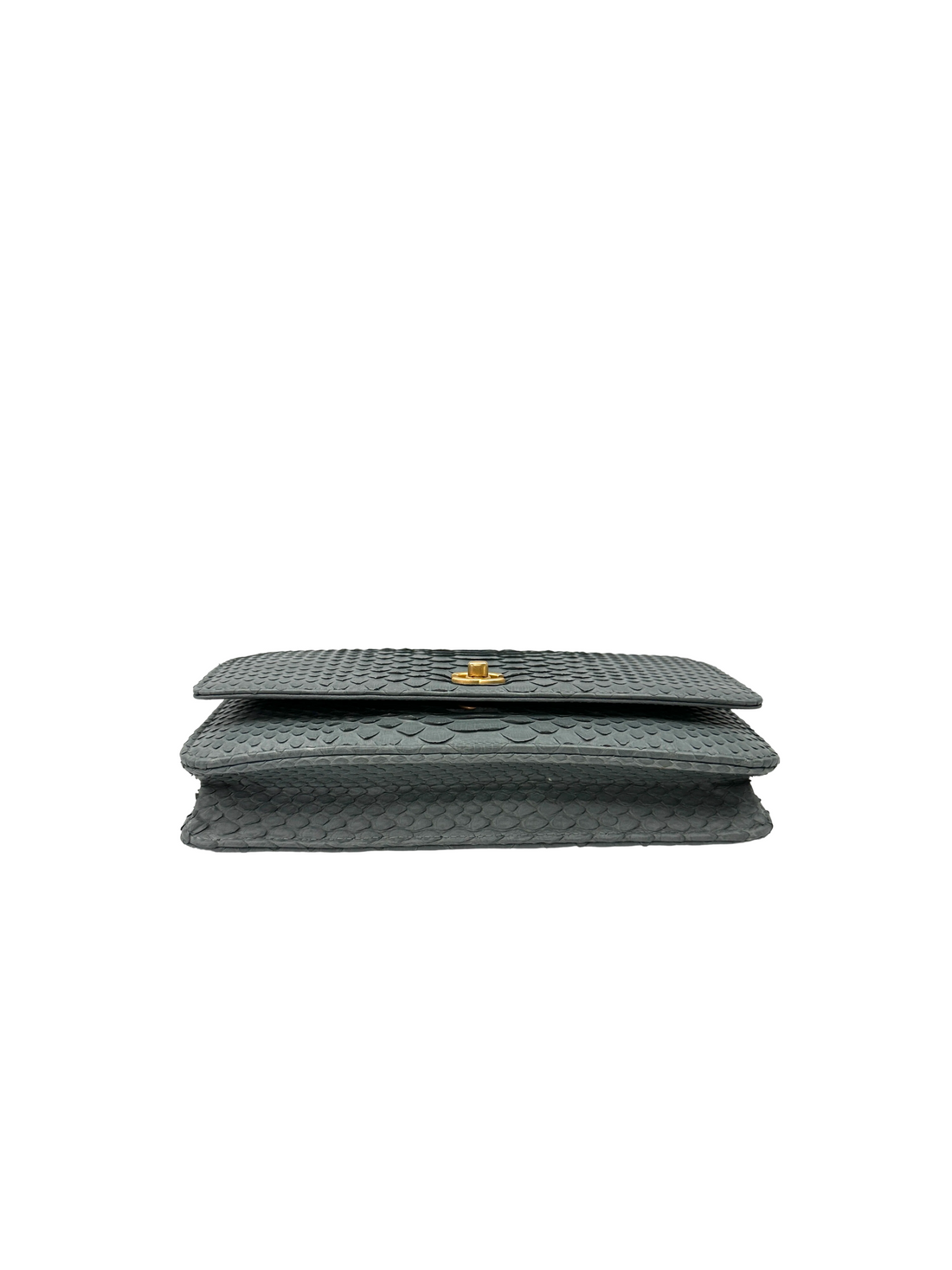 Chanel Blue Python Leather Wallet On Chain(25***08) CC2370