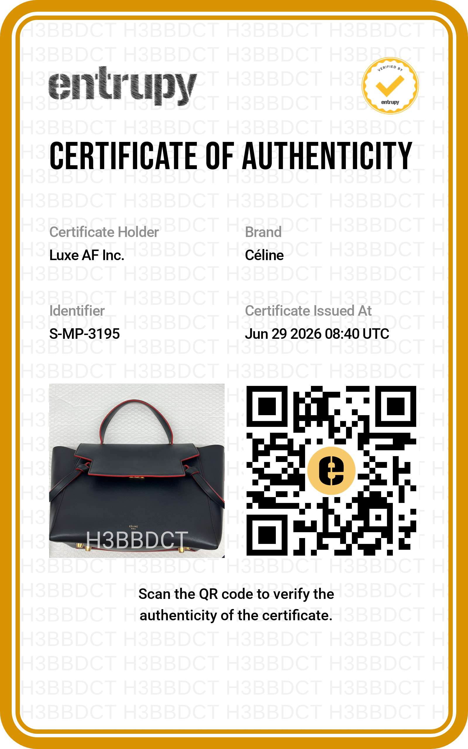 Celine Black Leather Belt Handle Bag CE181