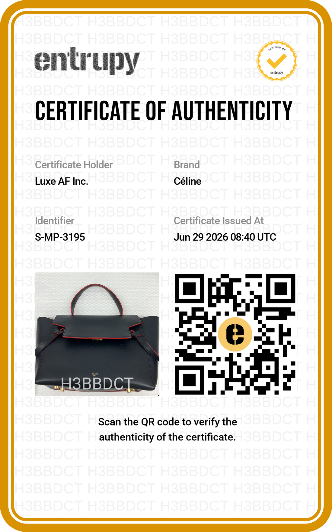 Celine Black Leather Belt Handle Bag CE181