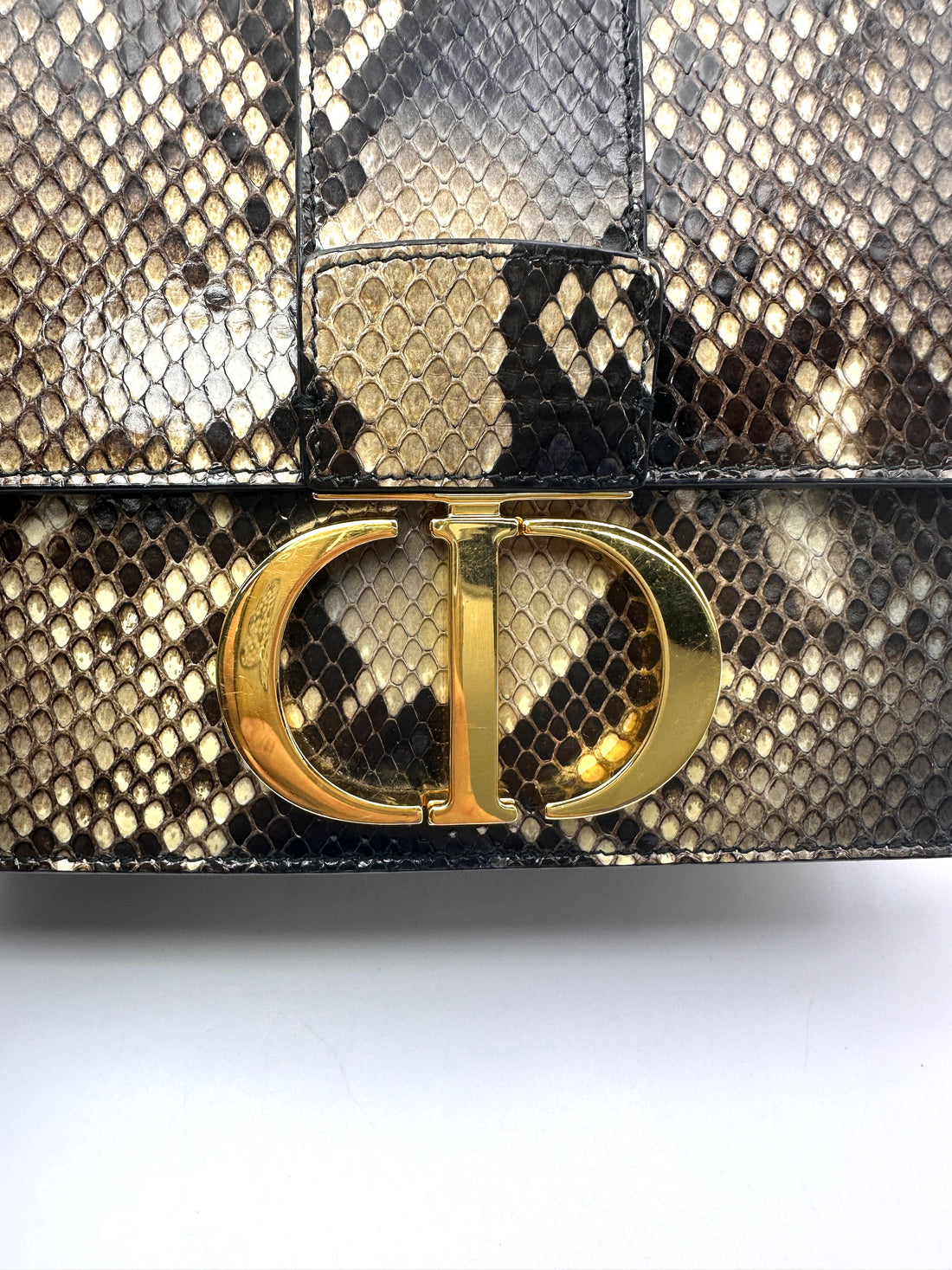 Christian Dior Montaigne Python Leather Shoulder Bag DR852