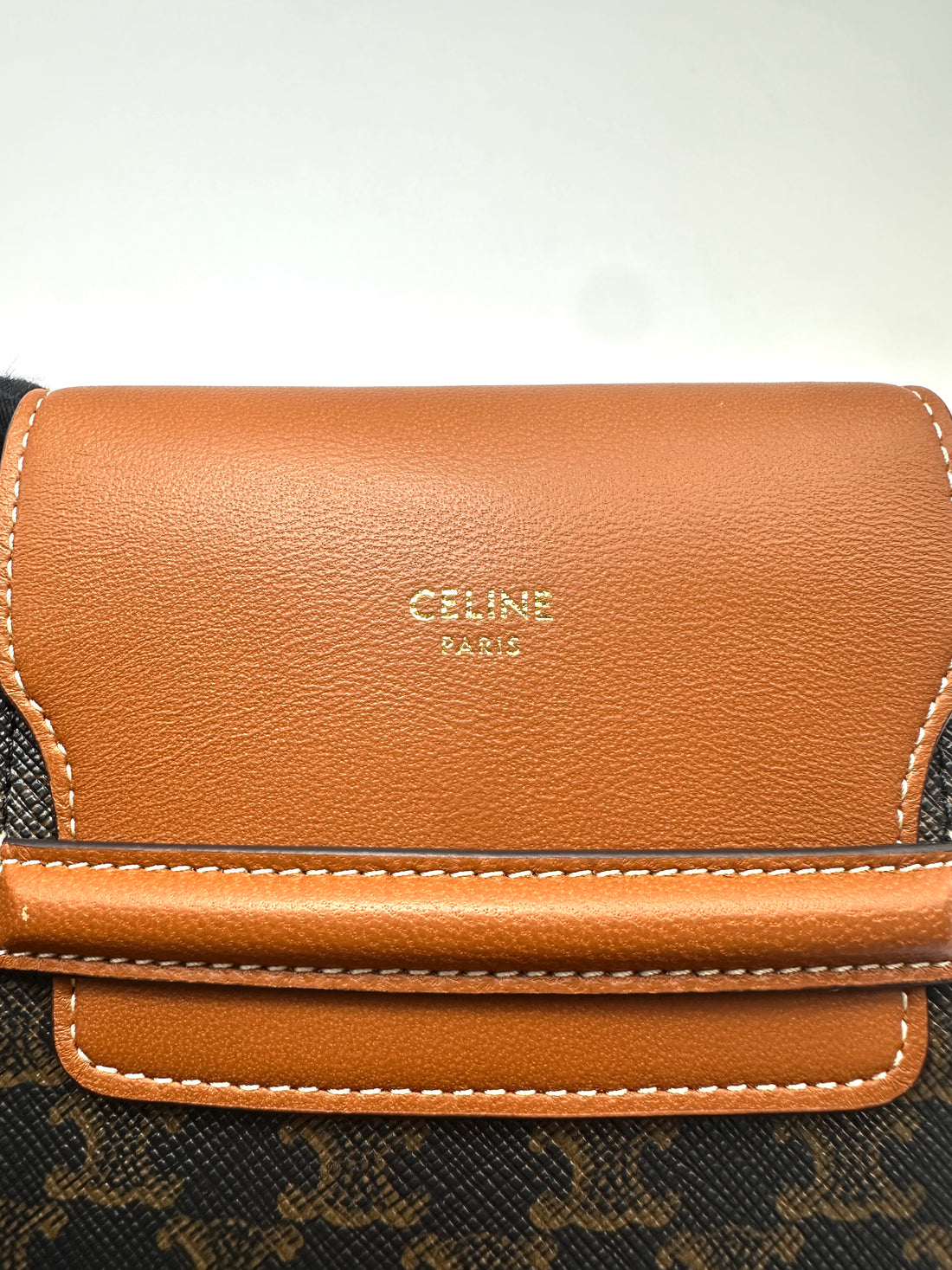 Celine Triomphe Black Canvas Phone Pouch CEF