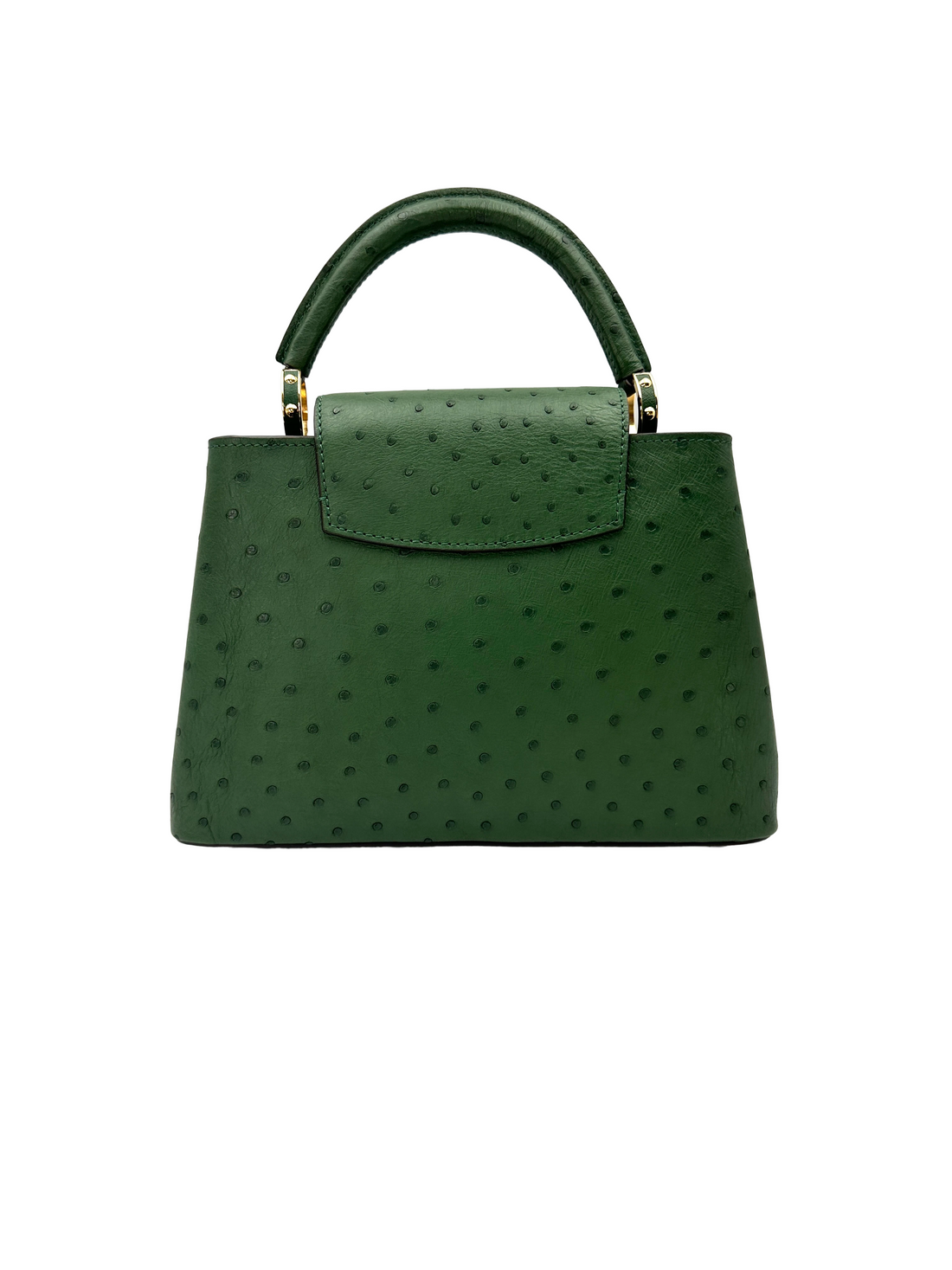 Louis Vuitton Capucines BB Green Ostrich Leather Handle Bag LV3183