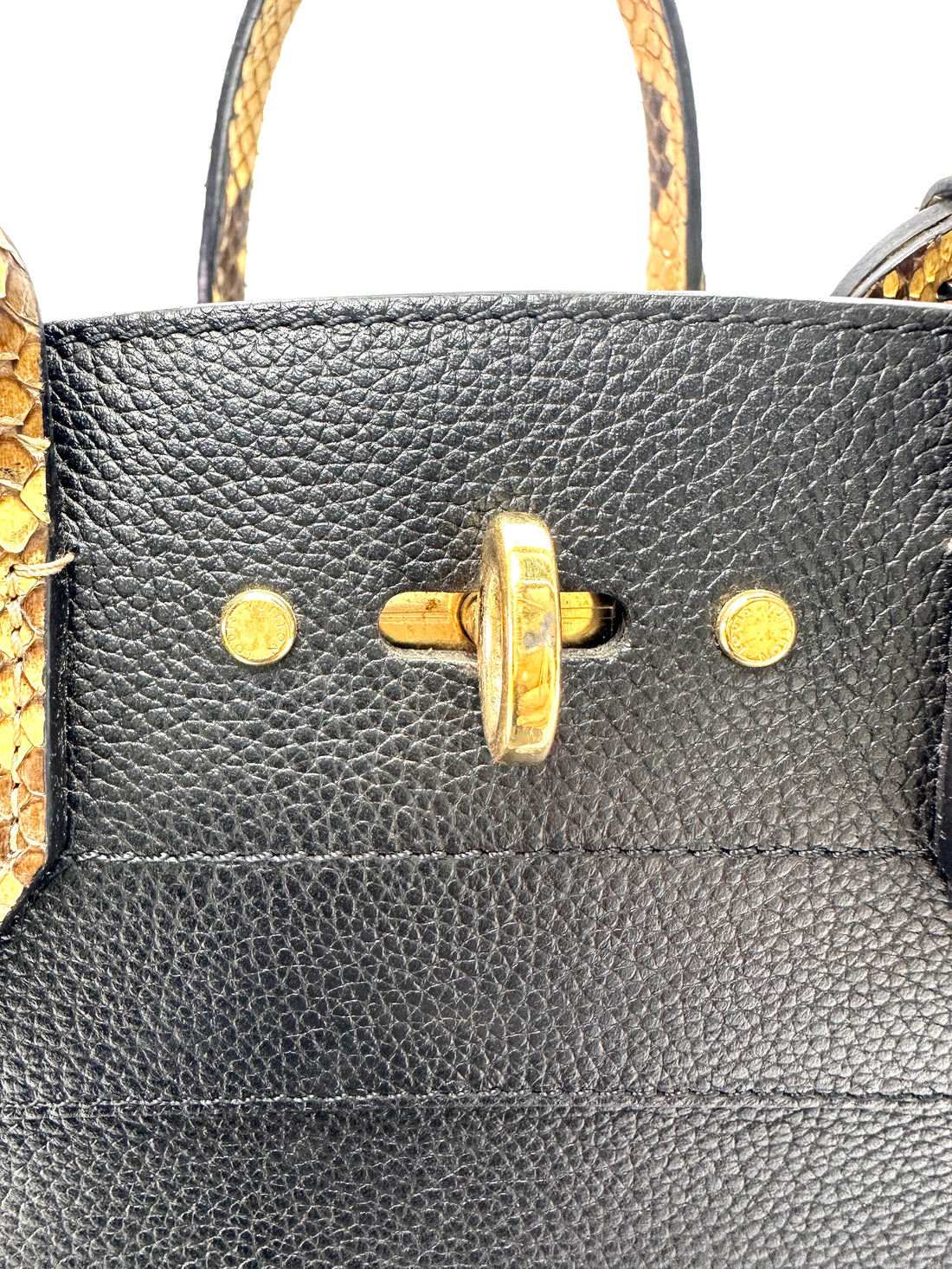 Louis Vuitton City Steamer Black Taurillon Leather Python Handle Bag LV3182