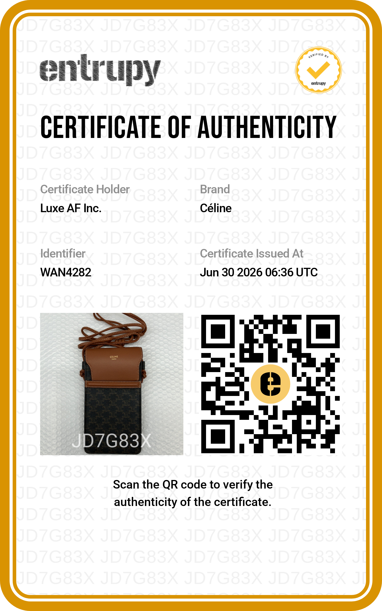 Celine Triomphe Black Canvas Phone Pouch CEF