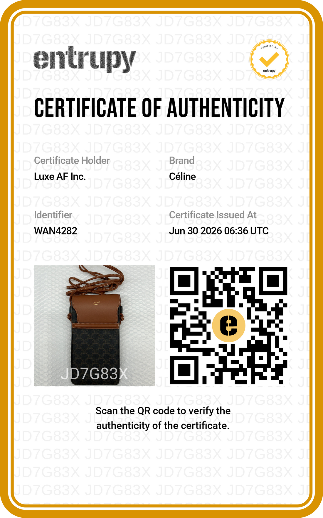 Celine Triomphe Black Canvas Phone Pouch CEF