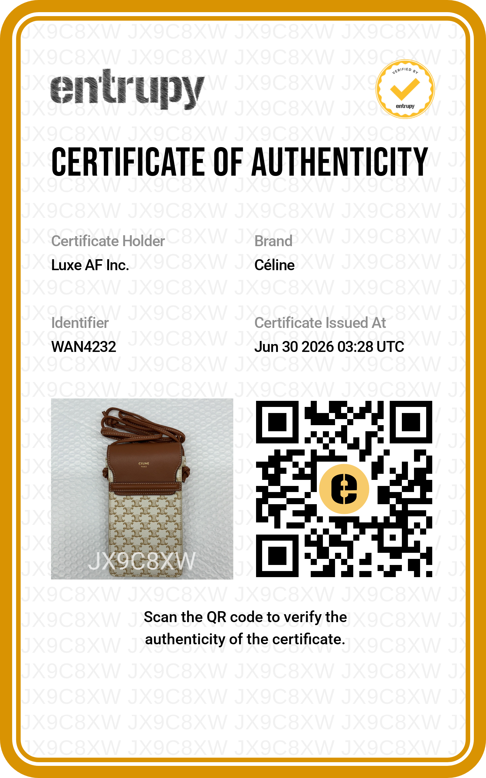 Celine Triomphe White Canvas Phone Pouch CEG