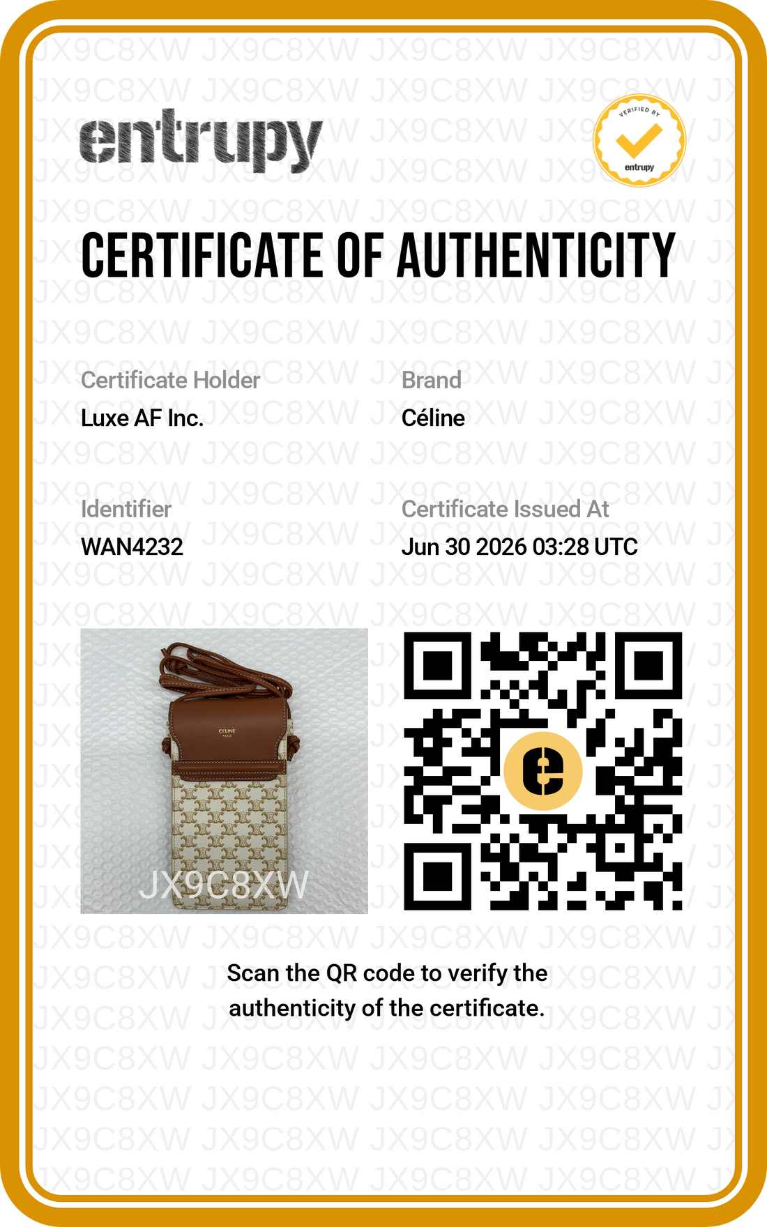 Celine Triomphe White Canvas Phone Pouch CEG