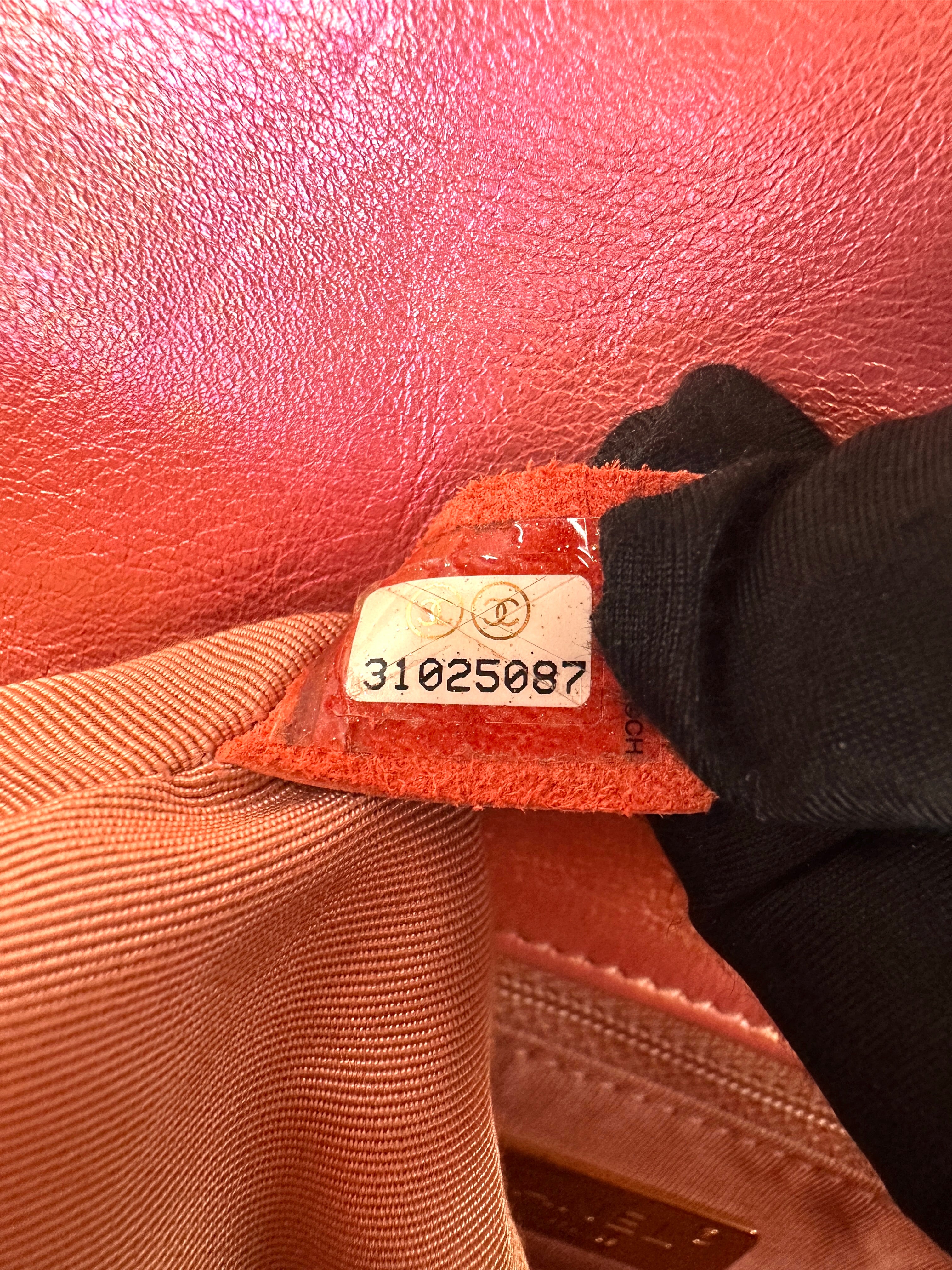 Chanel 19Bag Iridescent Pink Quilted Leather Flap Bag(31***87) CC2394