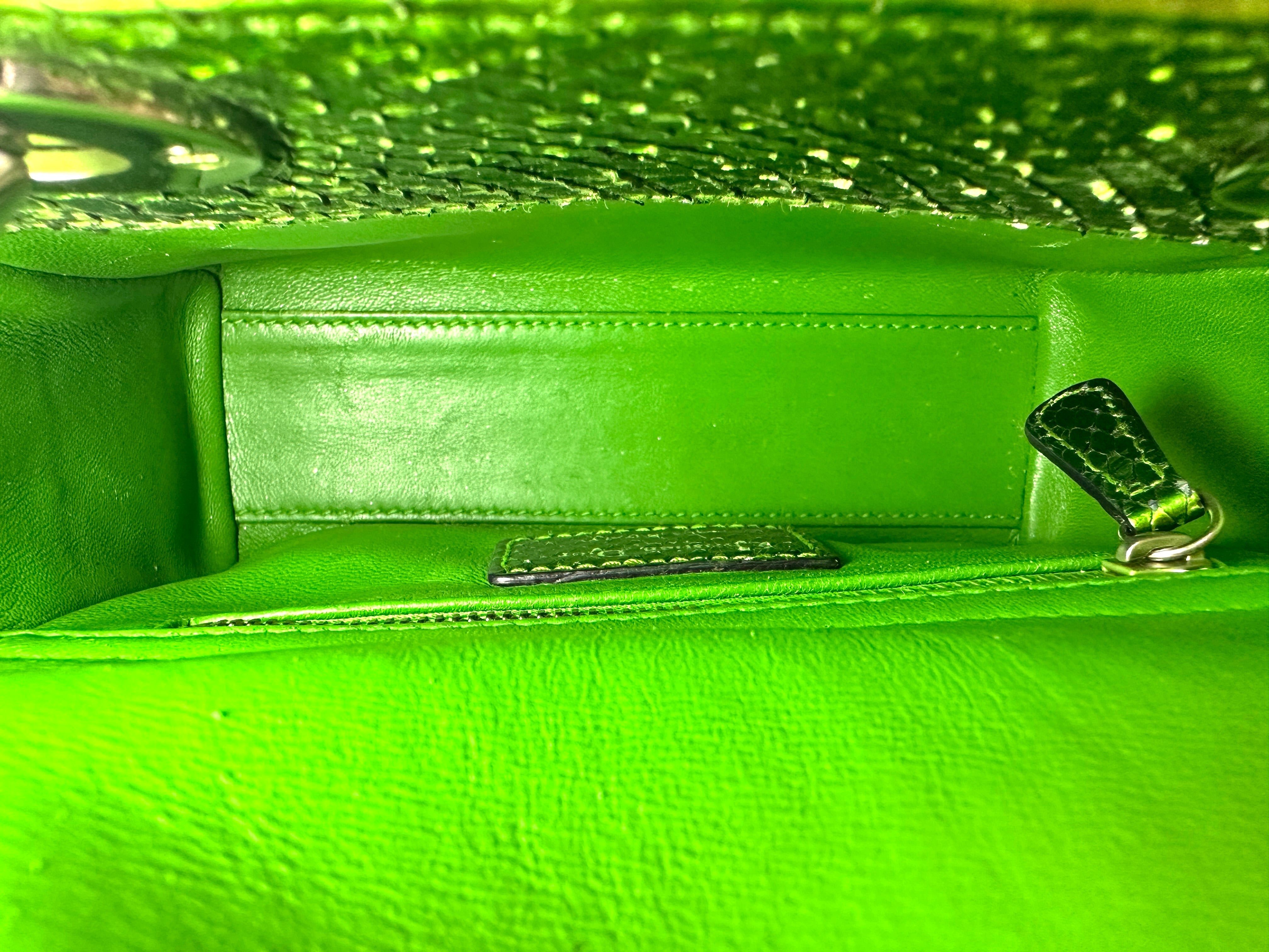 Christian Dior Lady Dior Metallic Green Python Leather Handle Bag DR859