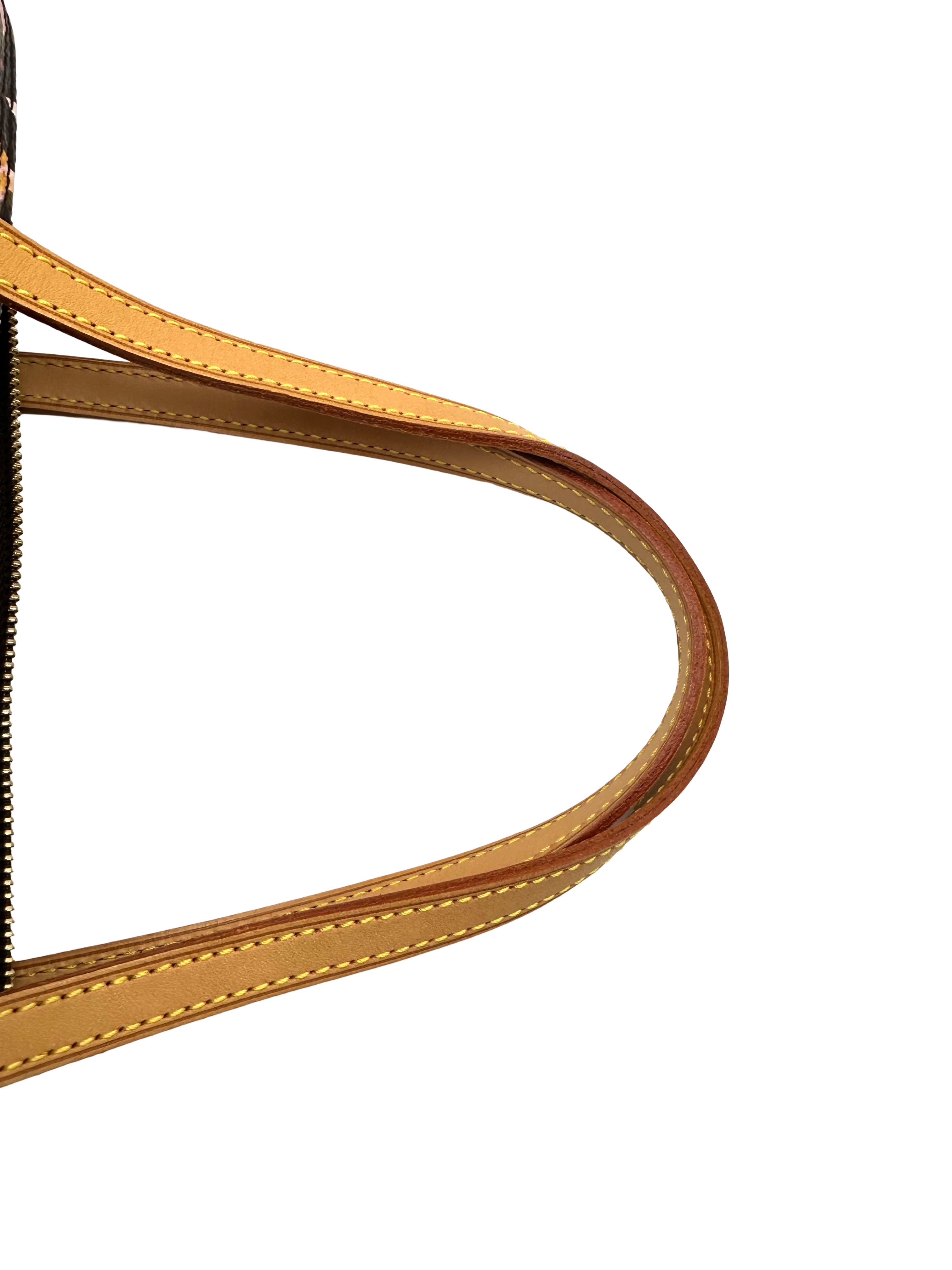 Louis Vuitton x Richard Prince Watercolor Monogram Papillon Bag LV3190