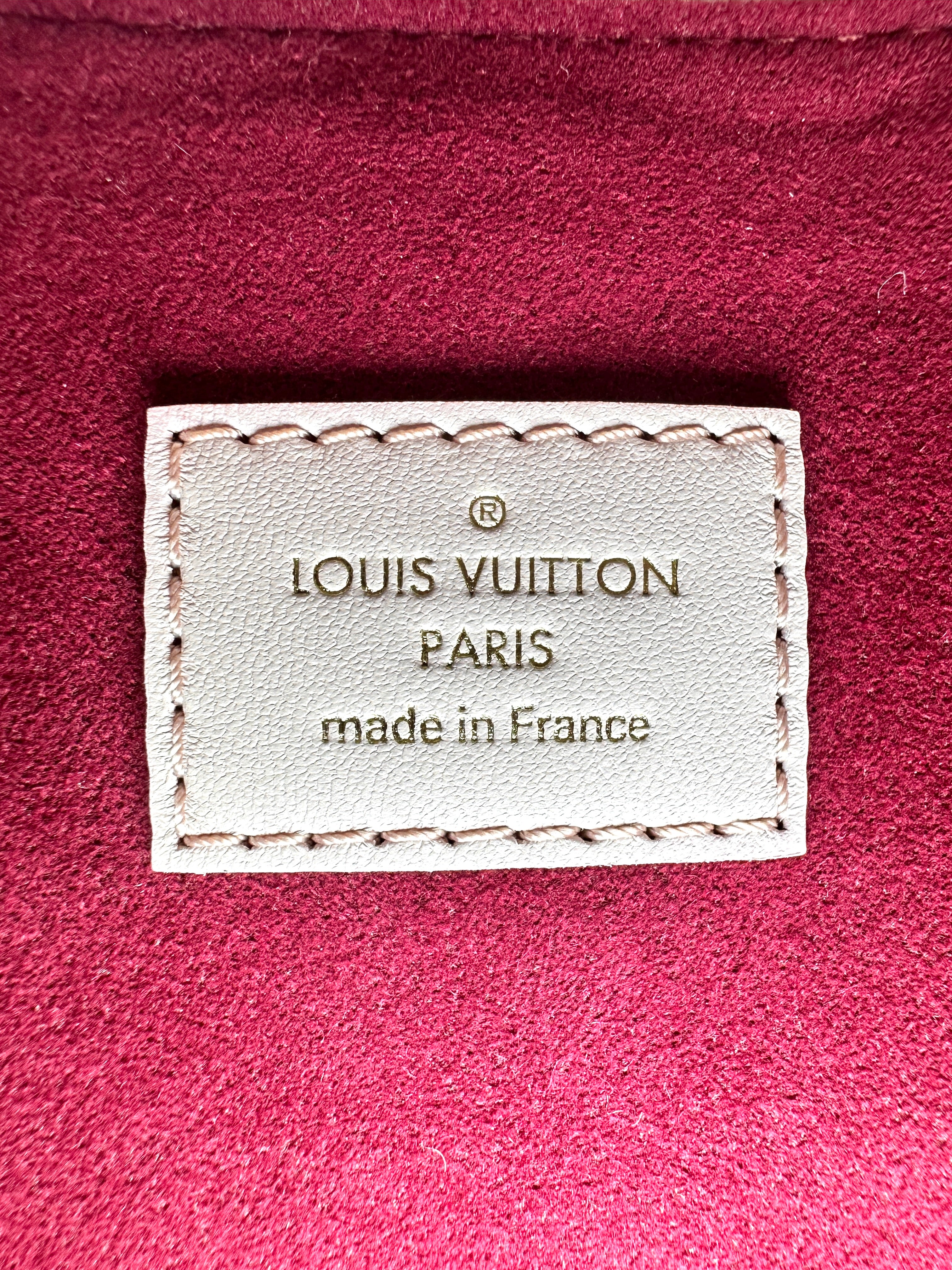 Louis Vuitton Coussin PM Pink Monogram Embossed Puffy Leather Shoulder Bag LV3191