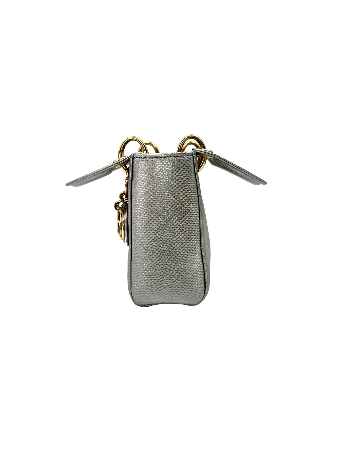 Christian Dior Lady Dior Metallic Silver Python Leather Handle Bag DR869