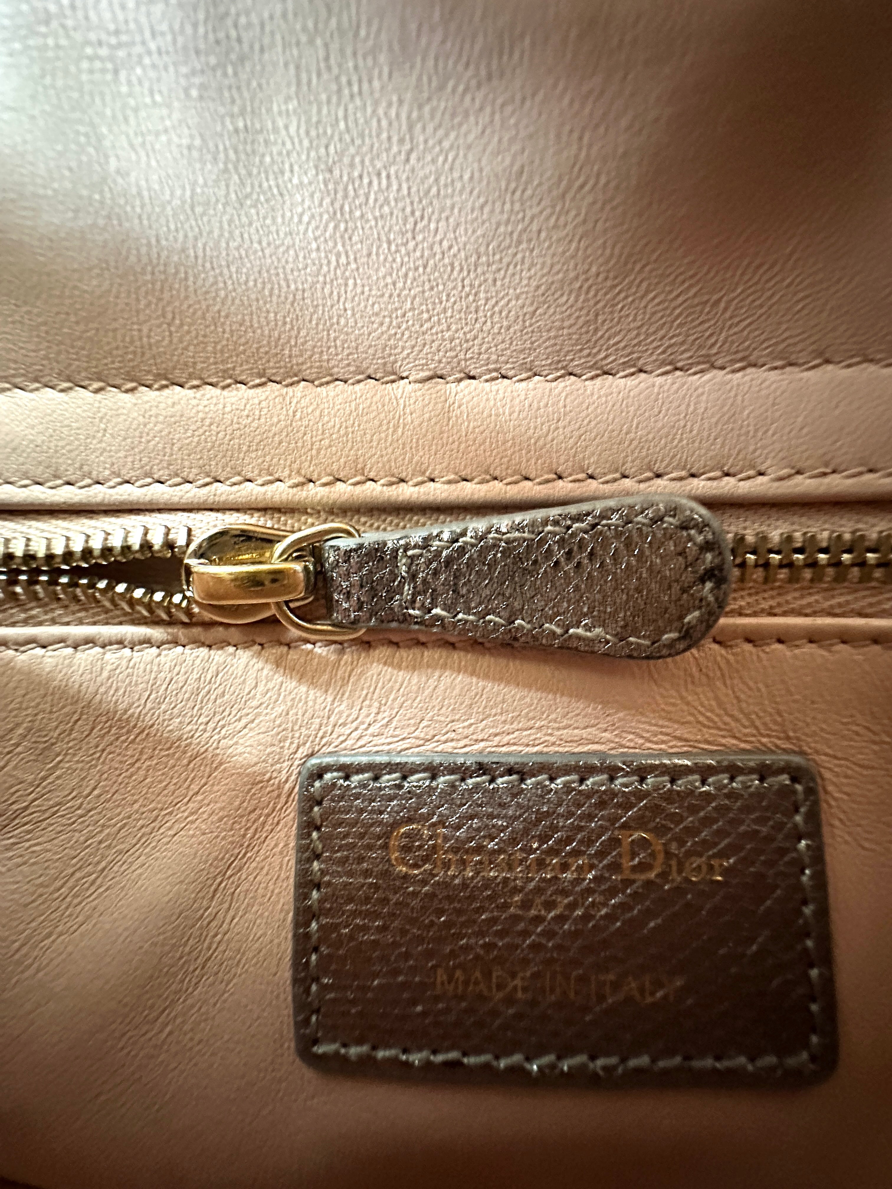 Christian Dior Lady Dior Metallic Silver Python Leather Handle Bag DR869