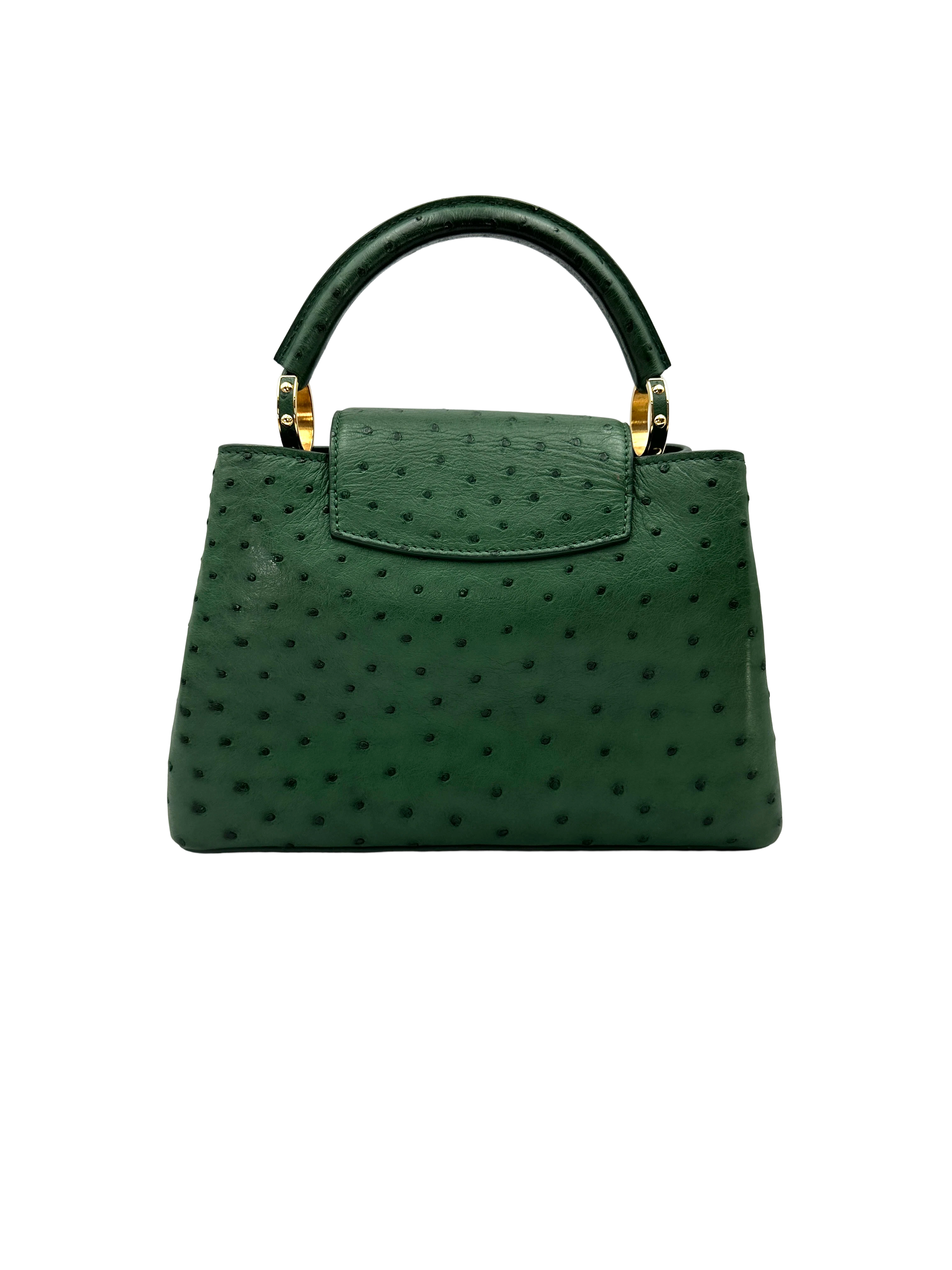 Louis Vuitton Capucines BB Green Ostrich Leather Handle Bag LV3250