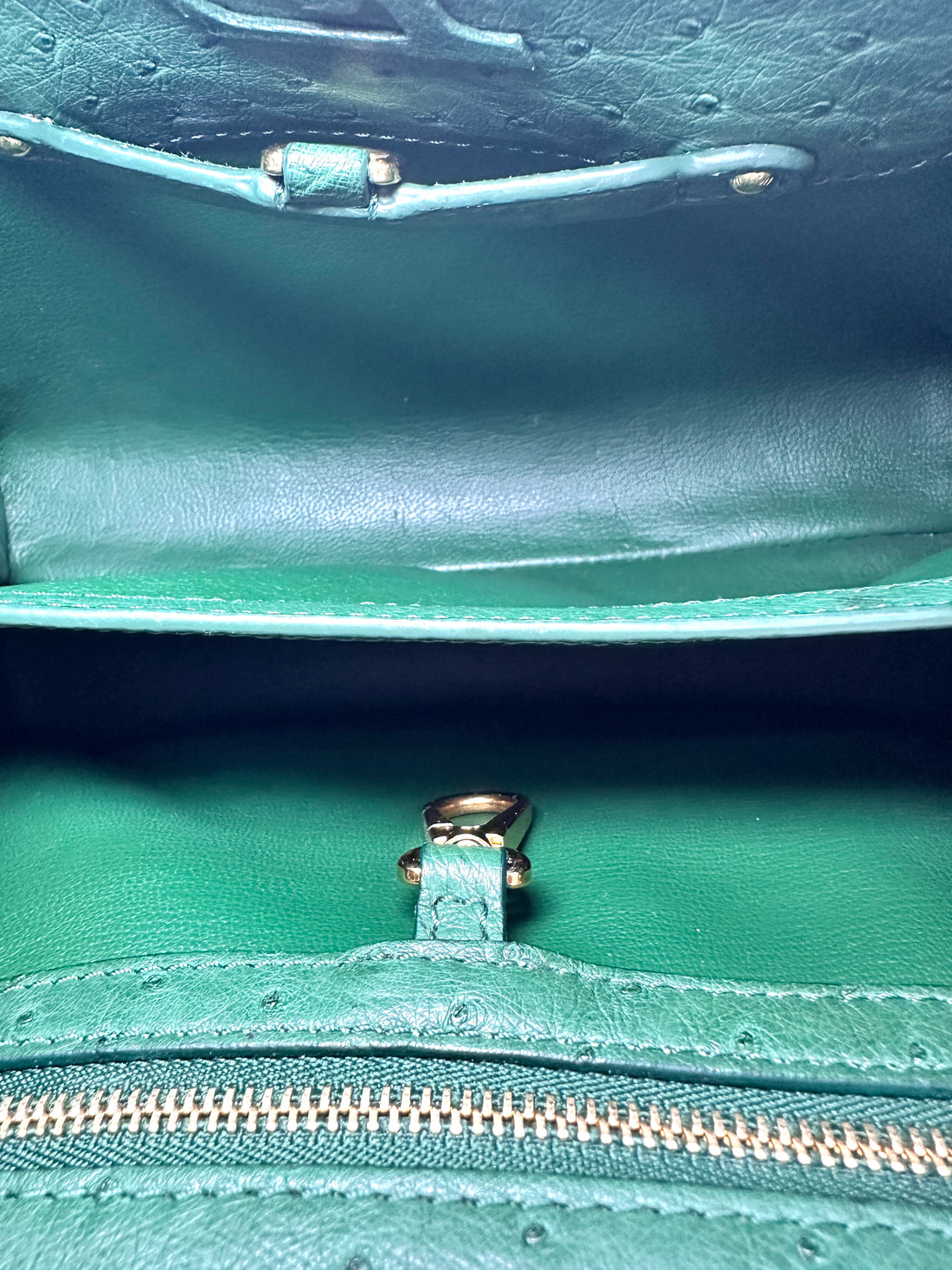Louis Vuitton Capucines BB Green Ostrich Leather Handle Bag LV3250