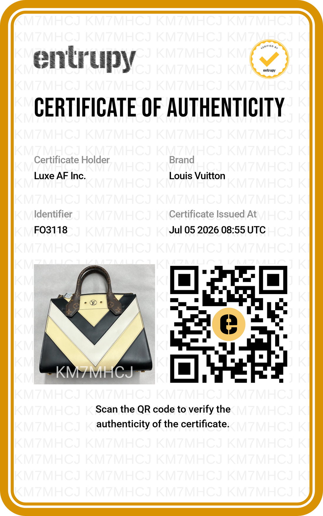 Louis Vuitton City Steamer Tricolor Chevron Leather Handle Bag LV3360