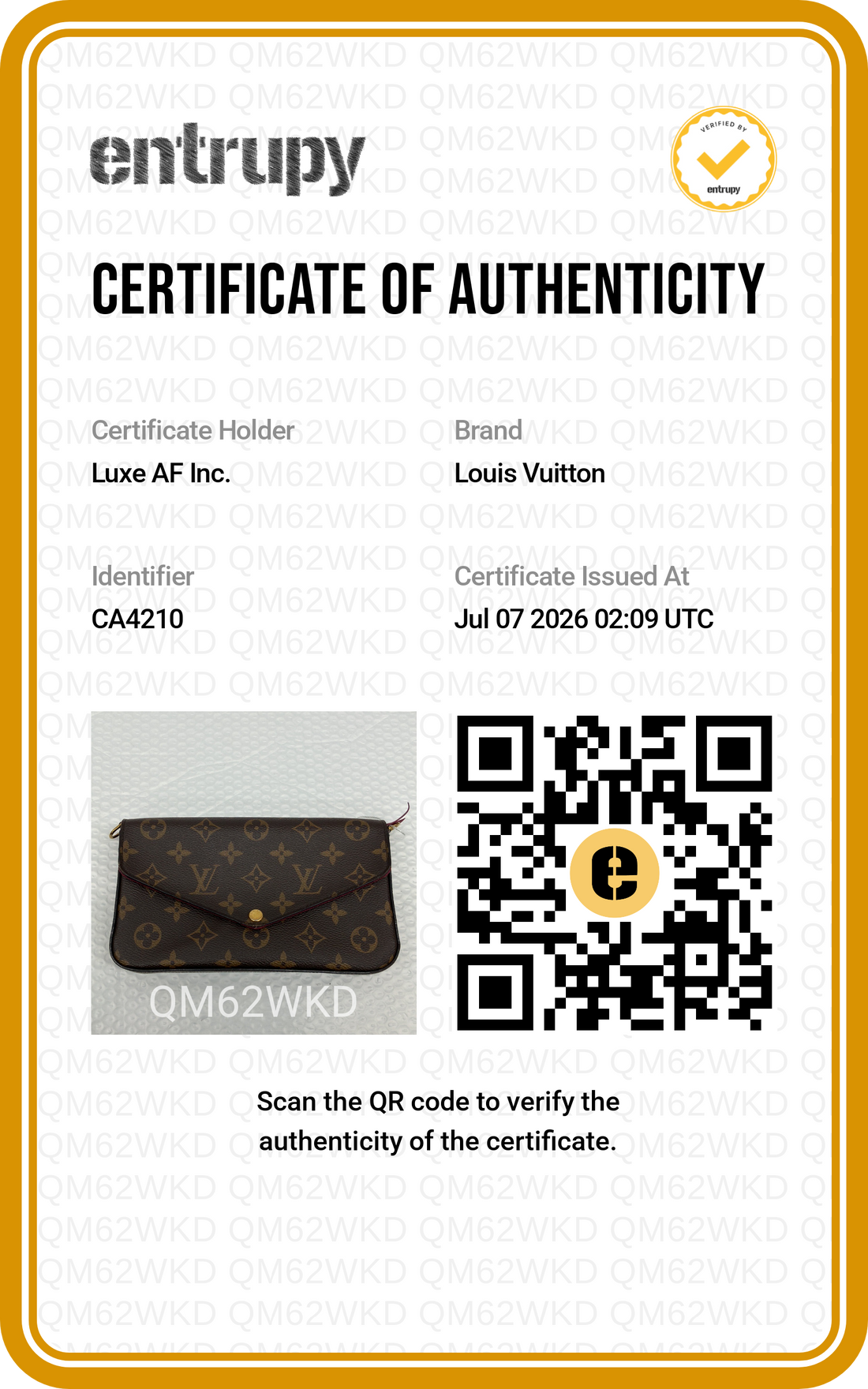 Louis Vuitton Monogram Canvas Pochette Felicie LV3266