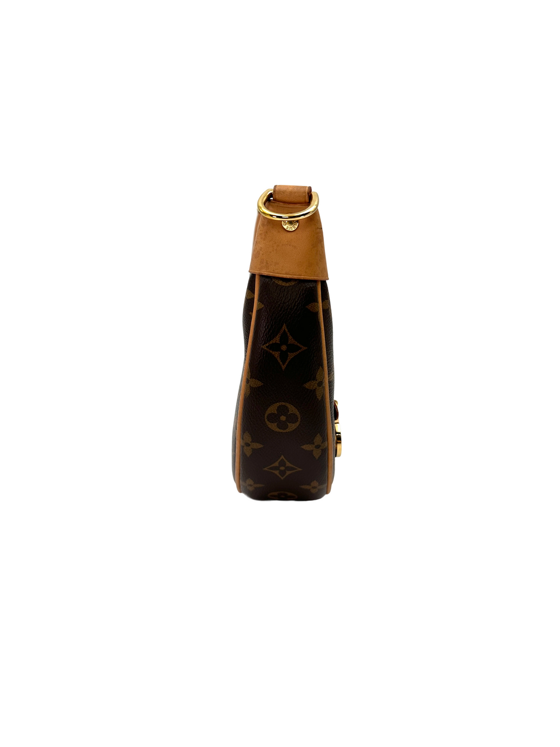 Louis Vuitton Loop Monogram Canvas Shoulder Bag LV3307