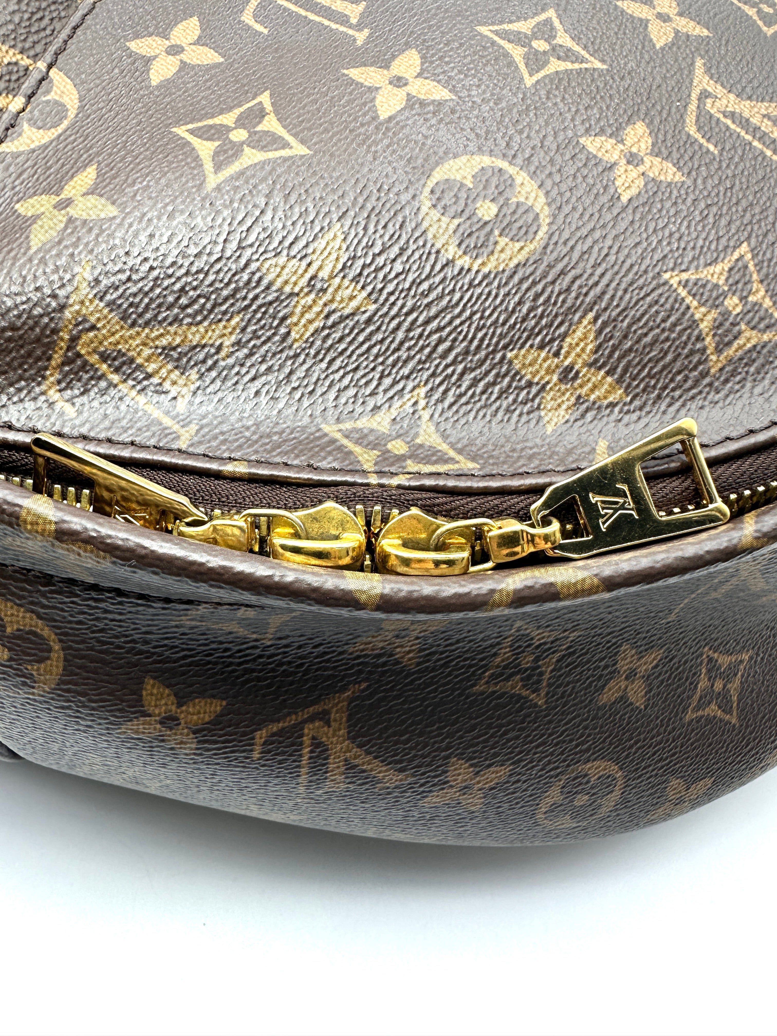 Louis Vuitton Palm Springs Monogram Canvas Backpack LV3333