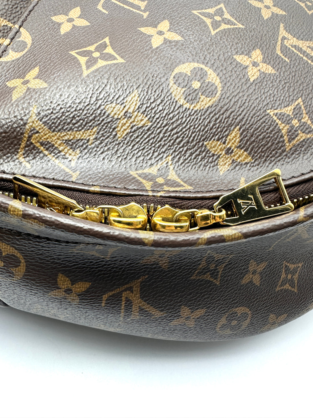 Louis Vuitton Palm Springs Monogram Canvas Backpack LV3333