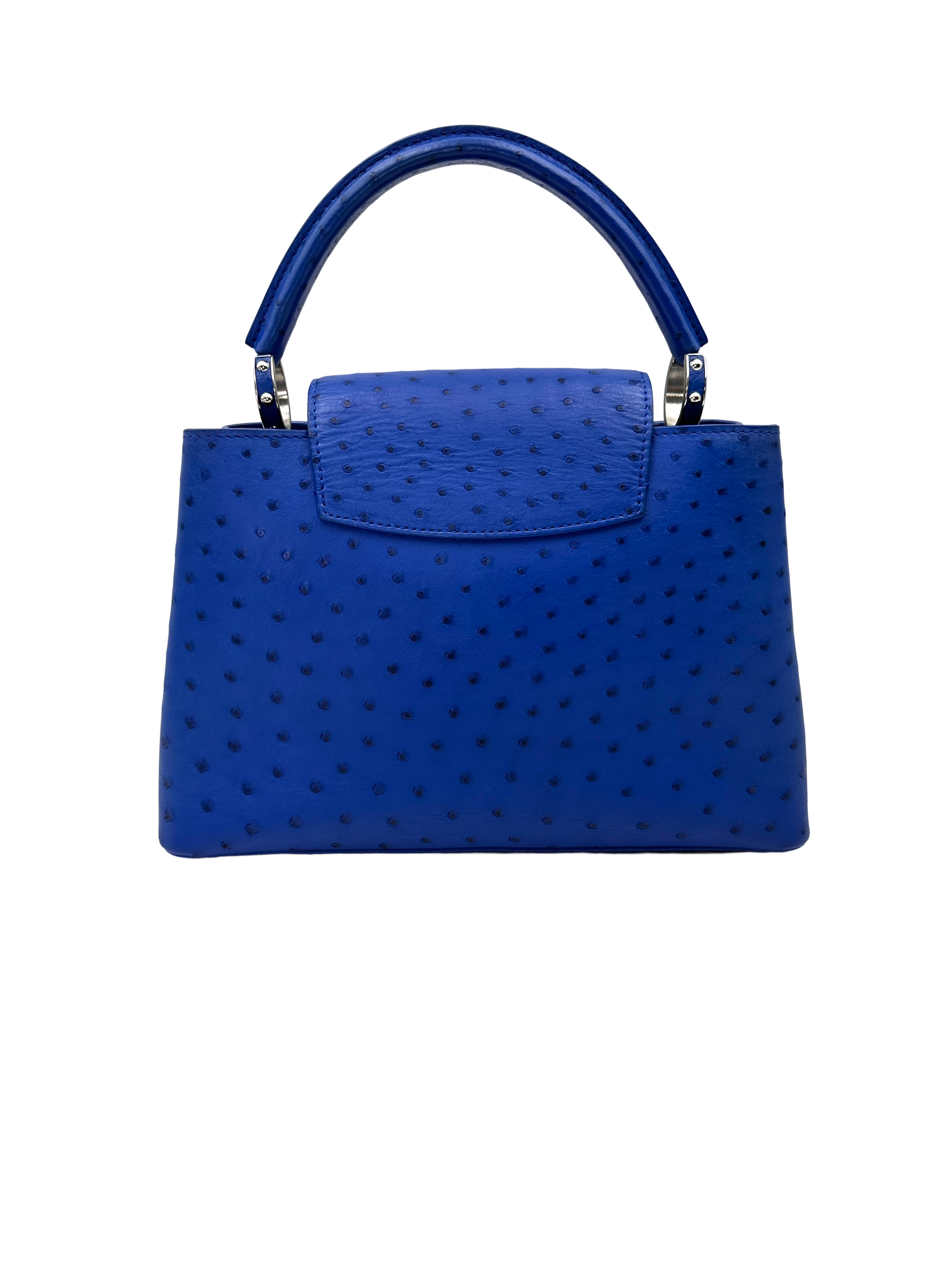 Louis Vuitton Capucines Blue Ostrich Leather Handle Bag LV3345