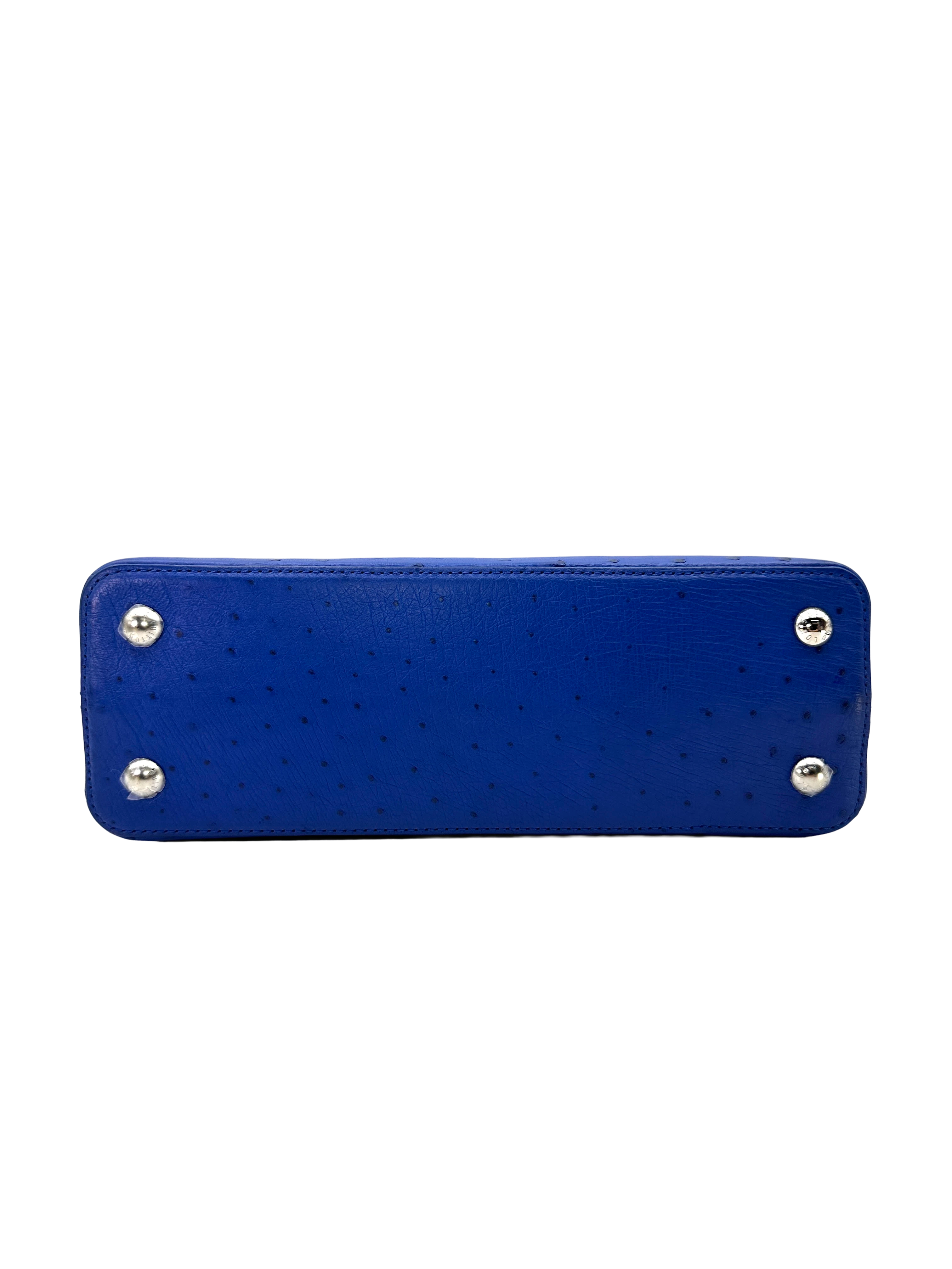 Louis Vuitton Capucines Blue Ostrich Leather Handle Bag LV3345