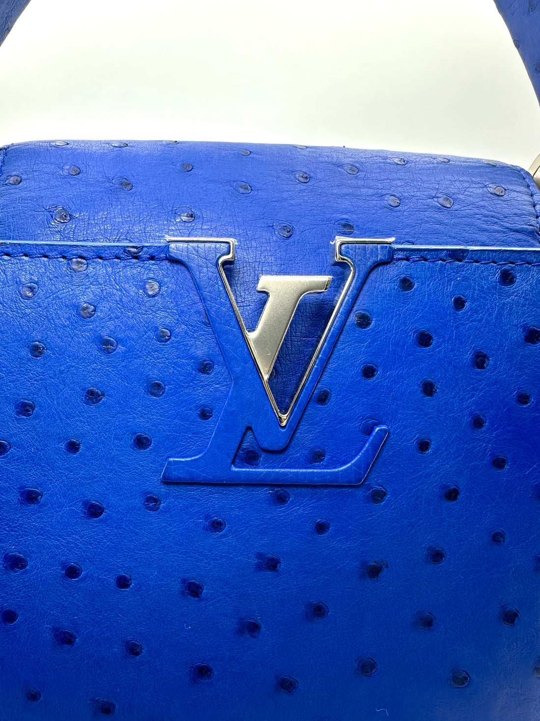 Louis Vuitton Capucines Blue Ostrich Leather Handle Bag LV3345