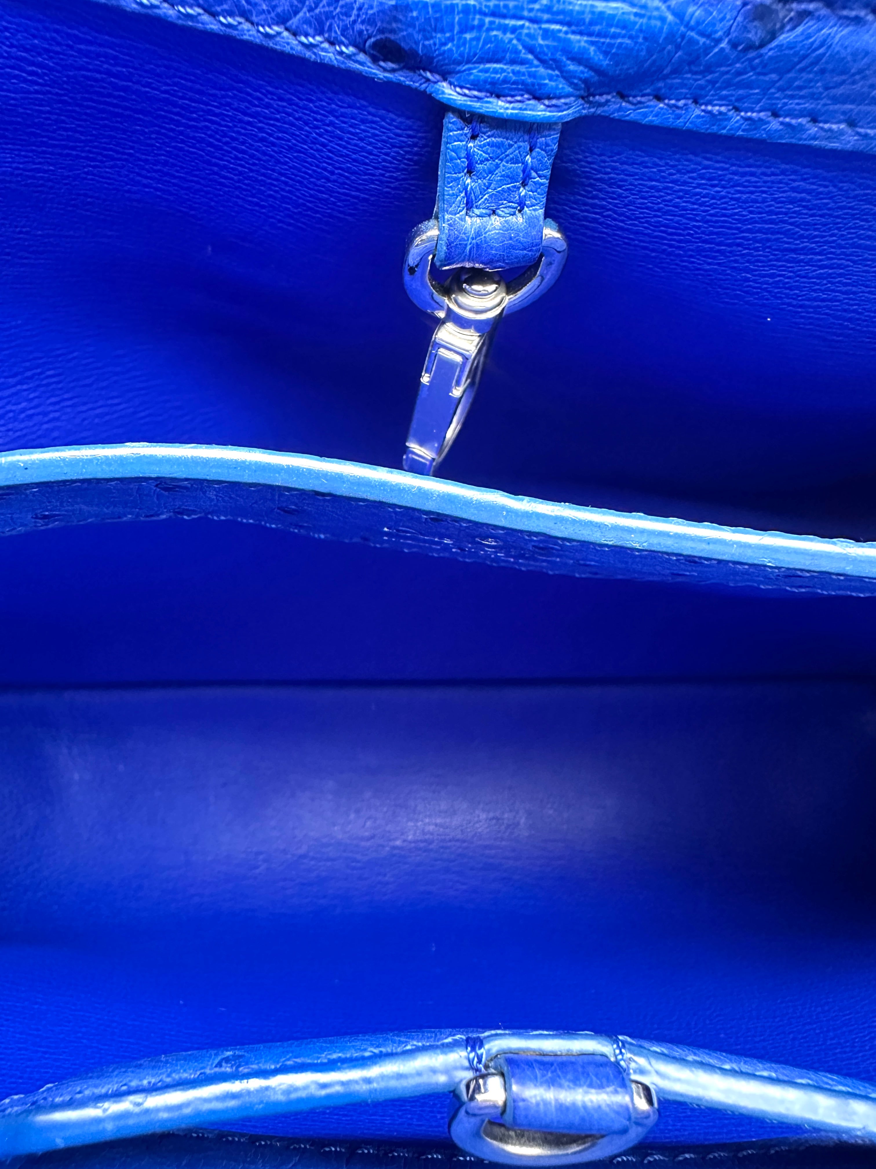 Louis Vuitton Capucines Blue Ostrich Leather Handle Bag LV3345