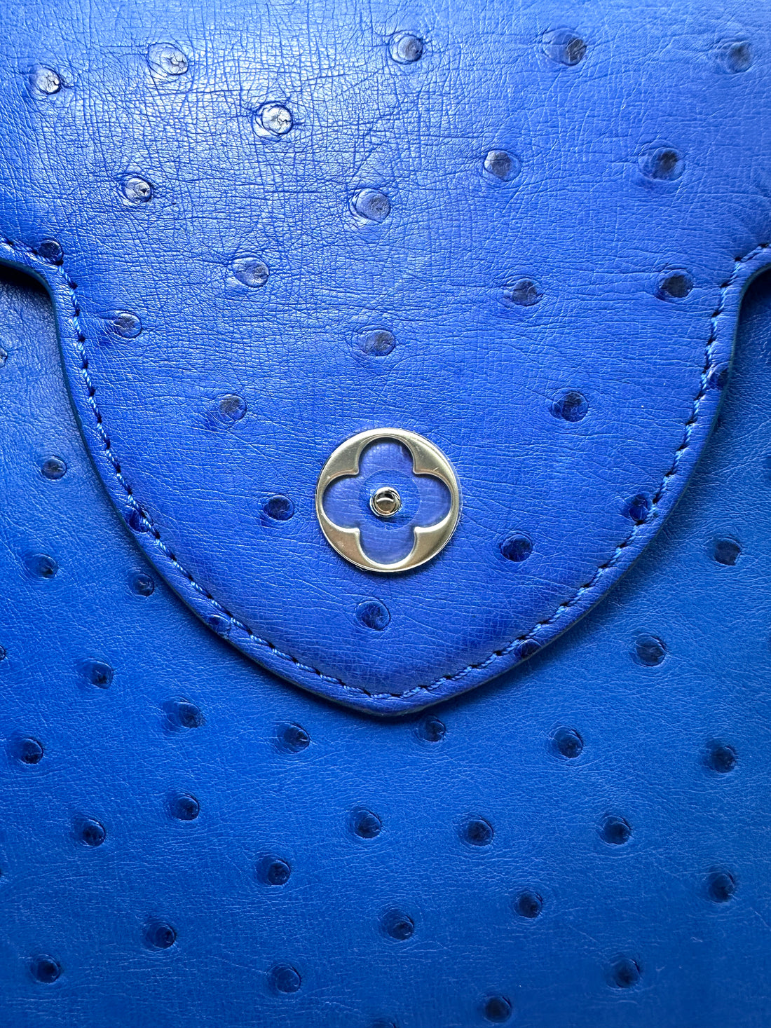 Louis Vuitton Capucines Blue Ostrich Leather Handle Bag LV3345