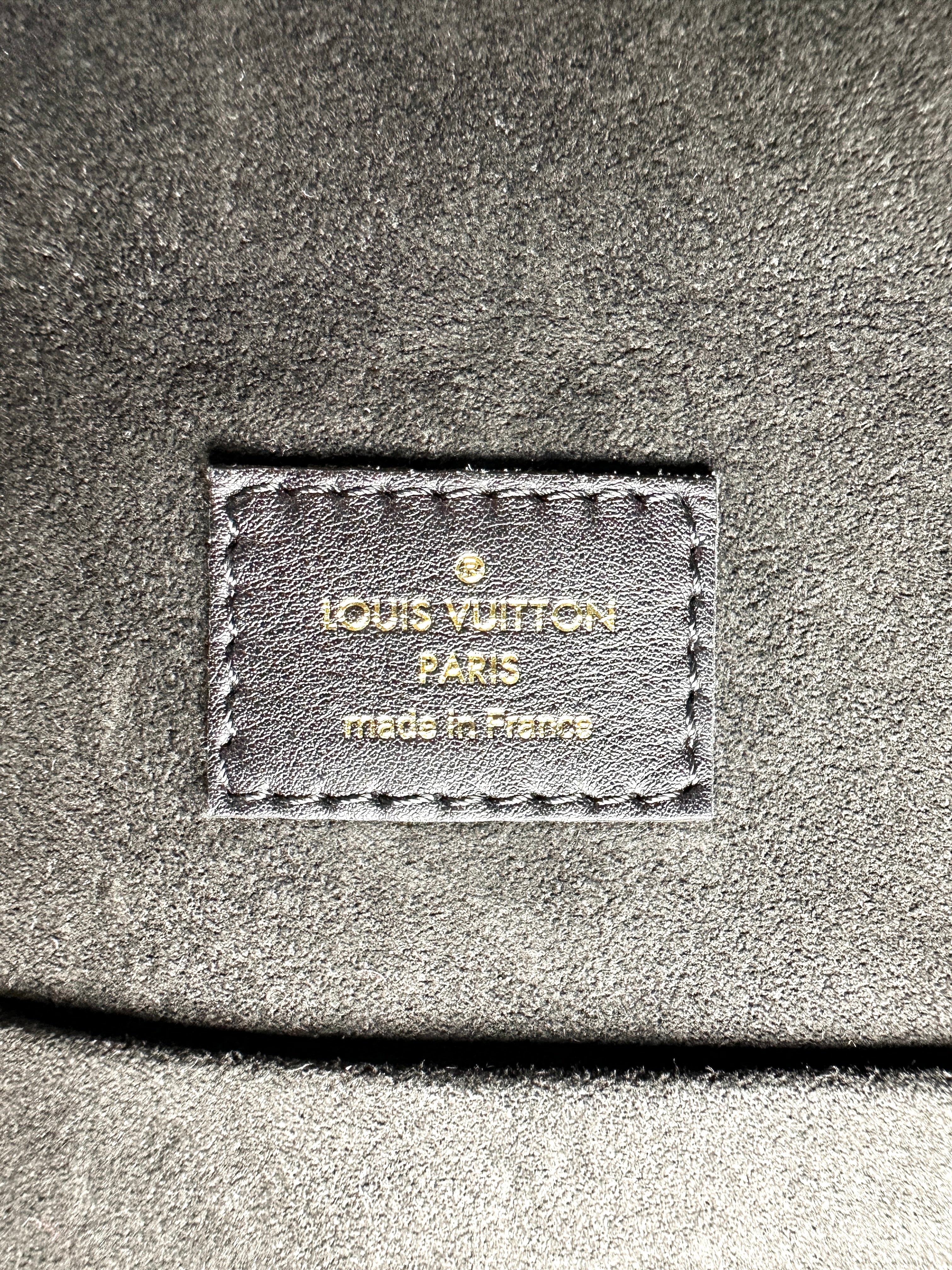 Louis Vuitton City Cruiser Monogram Canvas Handle Bag LV3343
