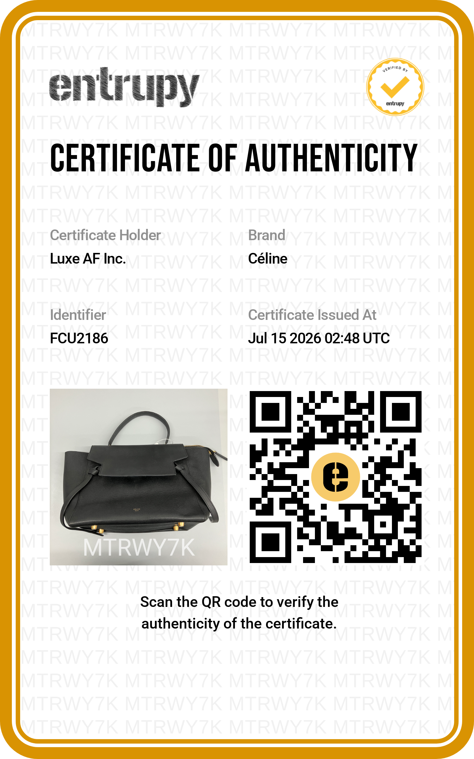 Celine Black Leather Belt Handle Bag CE193
