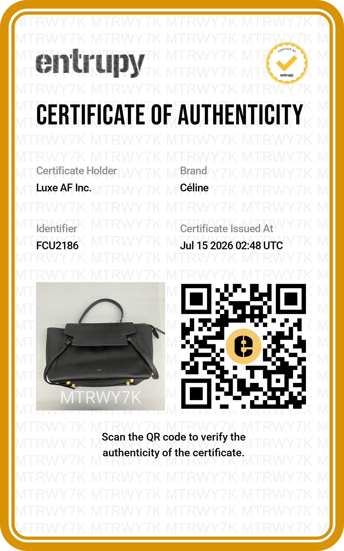 Celine Black Leather Belt Handle Bag CE193