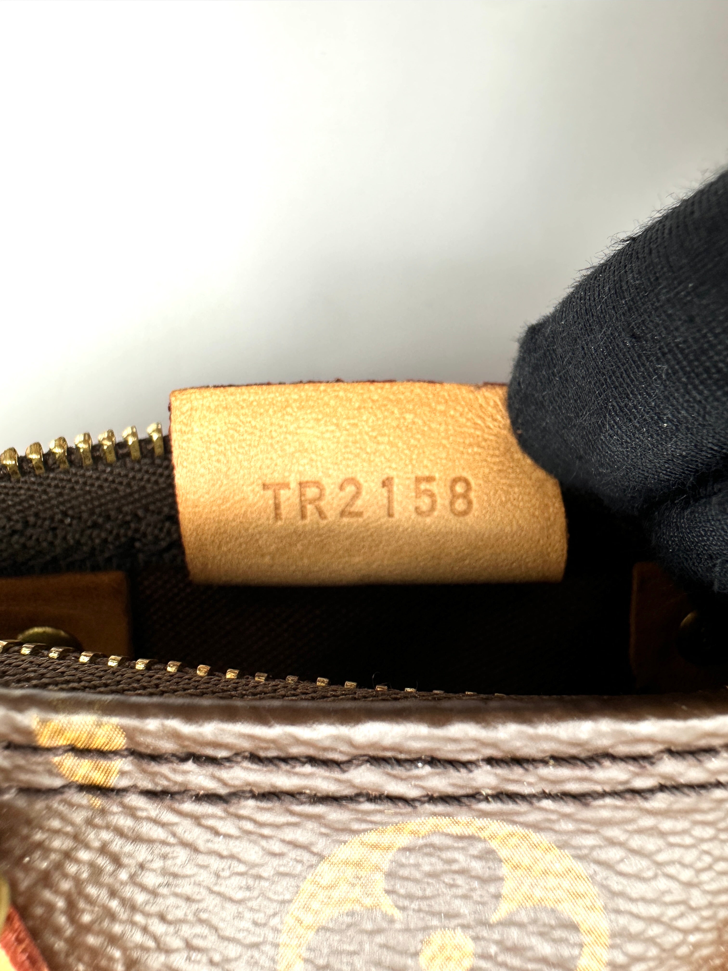 Louis Vuitton Speedy Nano Monogram Canvas Handle Bag IRIS274