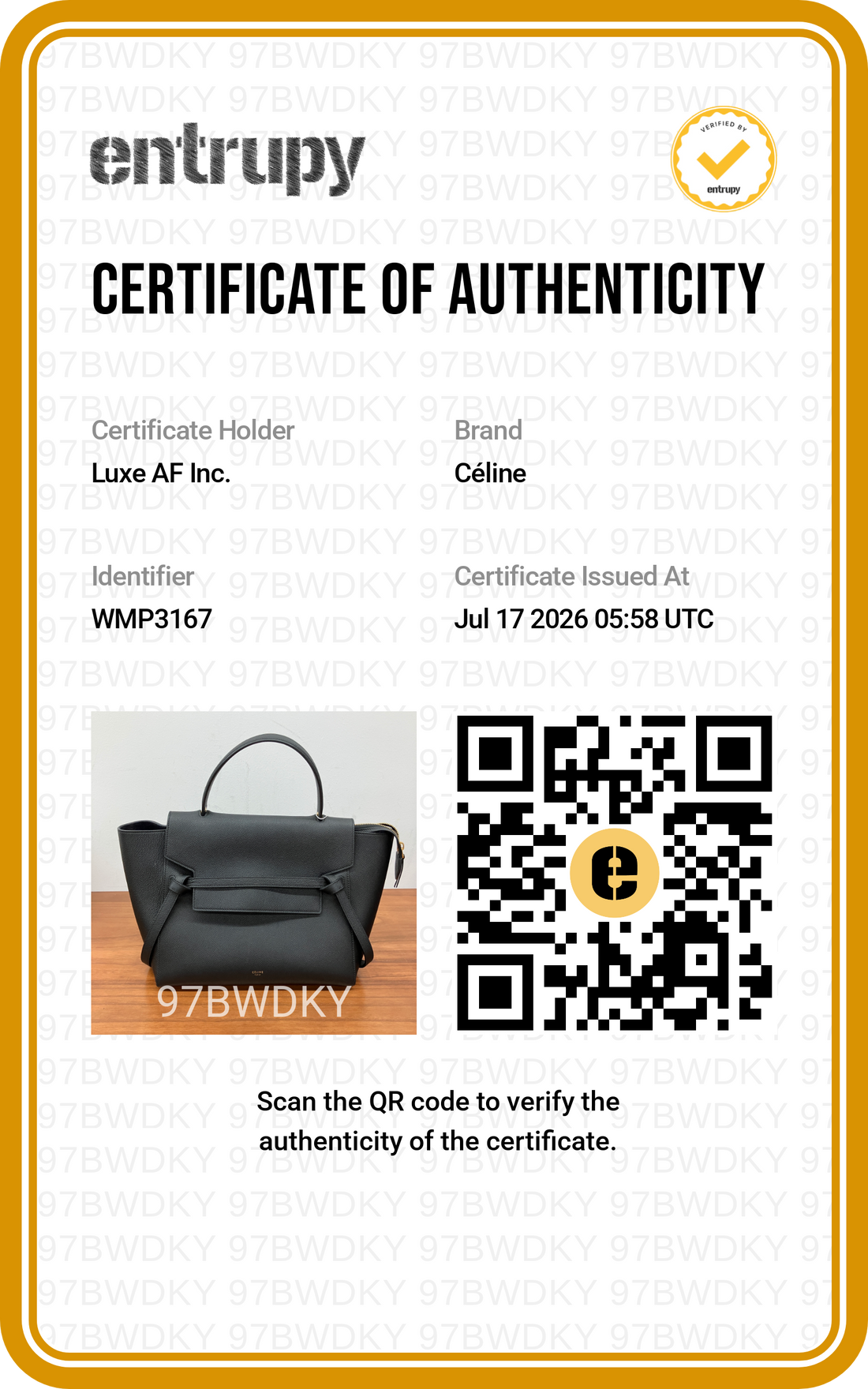 Celine Black Leather Medium Size Belt Handle Bag CE195