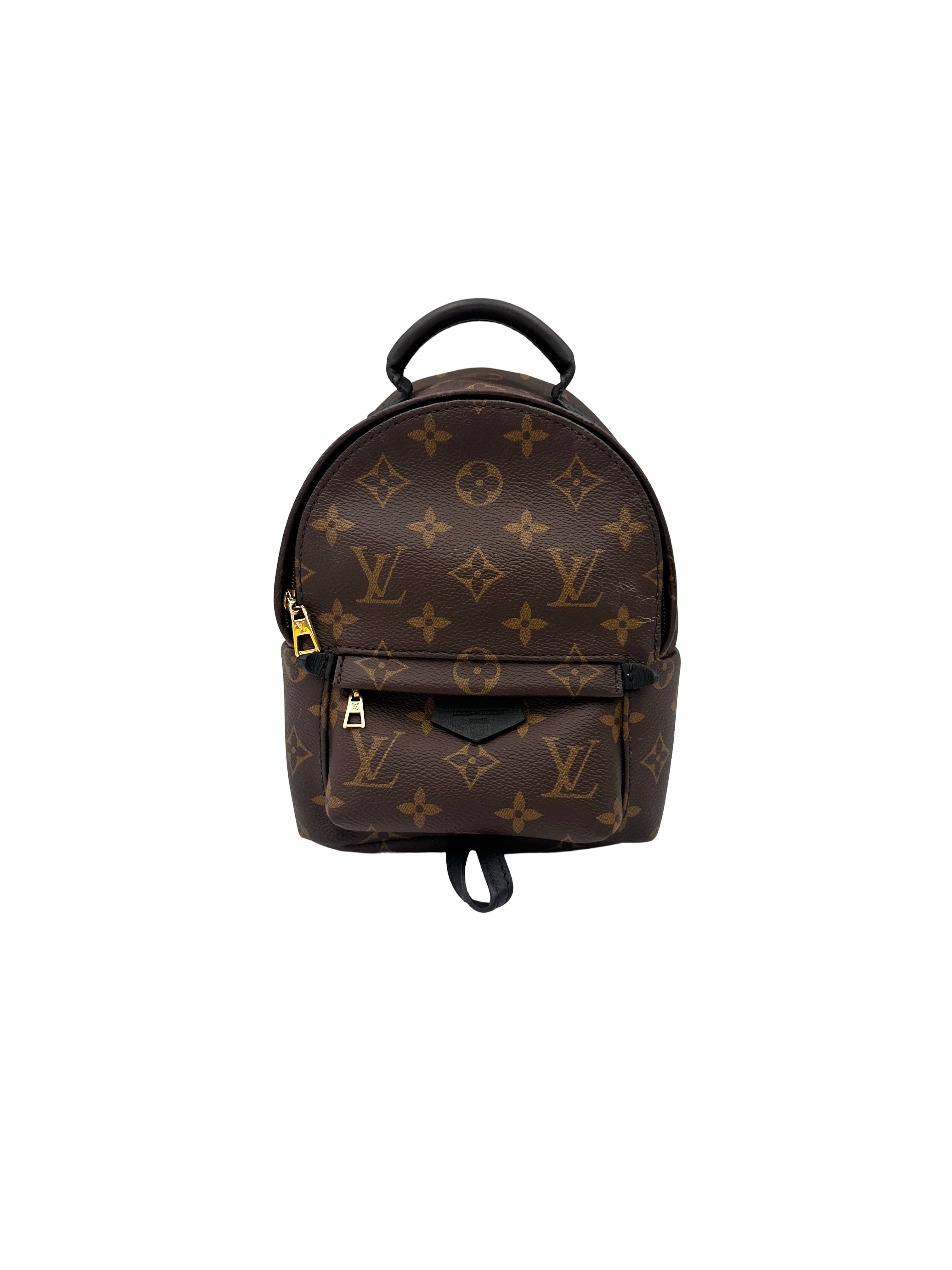 Louis Vuitton Palm Springs Monogram Canvas Mini Backpack LV3373