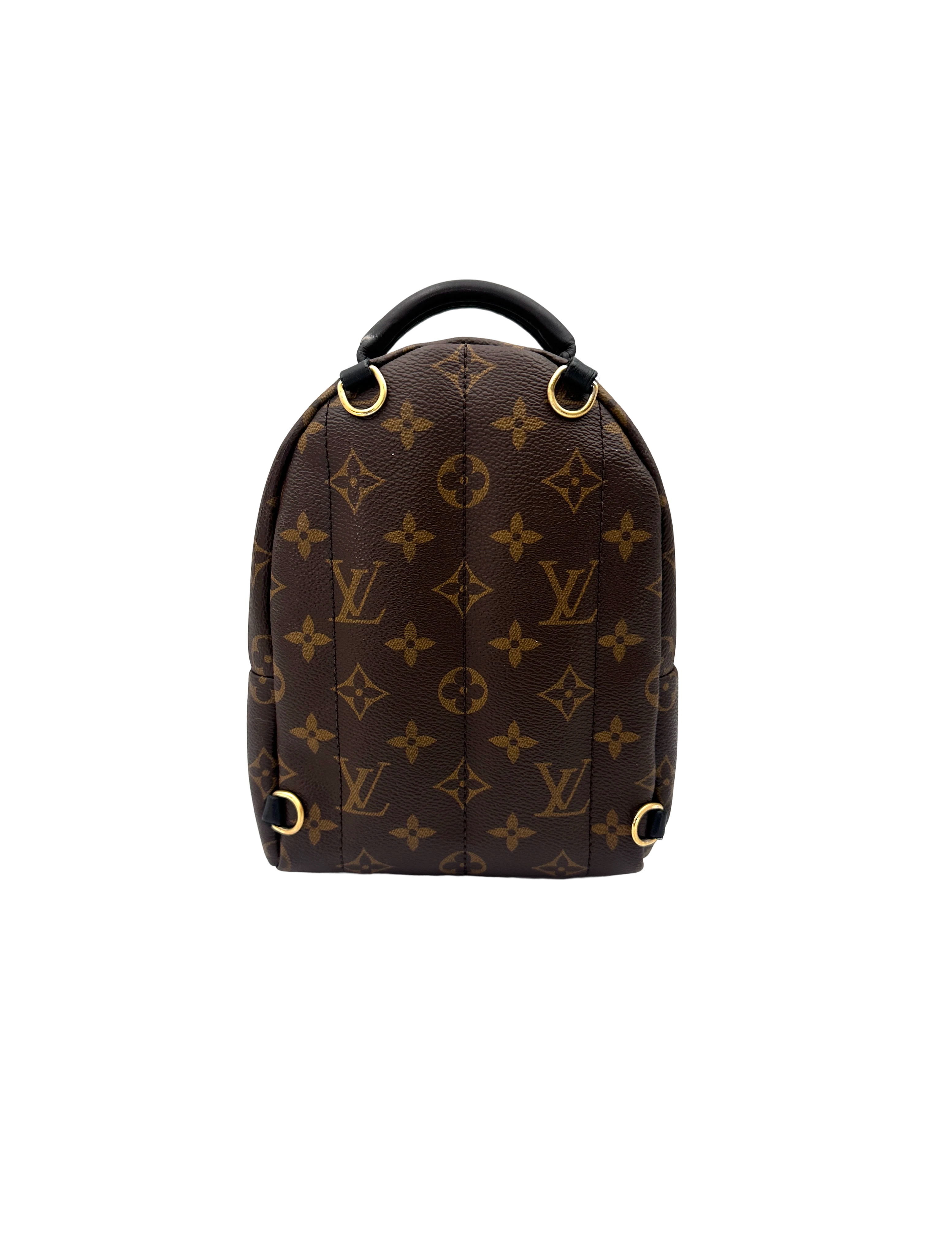 Louis Vuitton Palm Springs Monogram Canvas Mini Backpack LV3373