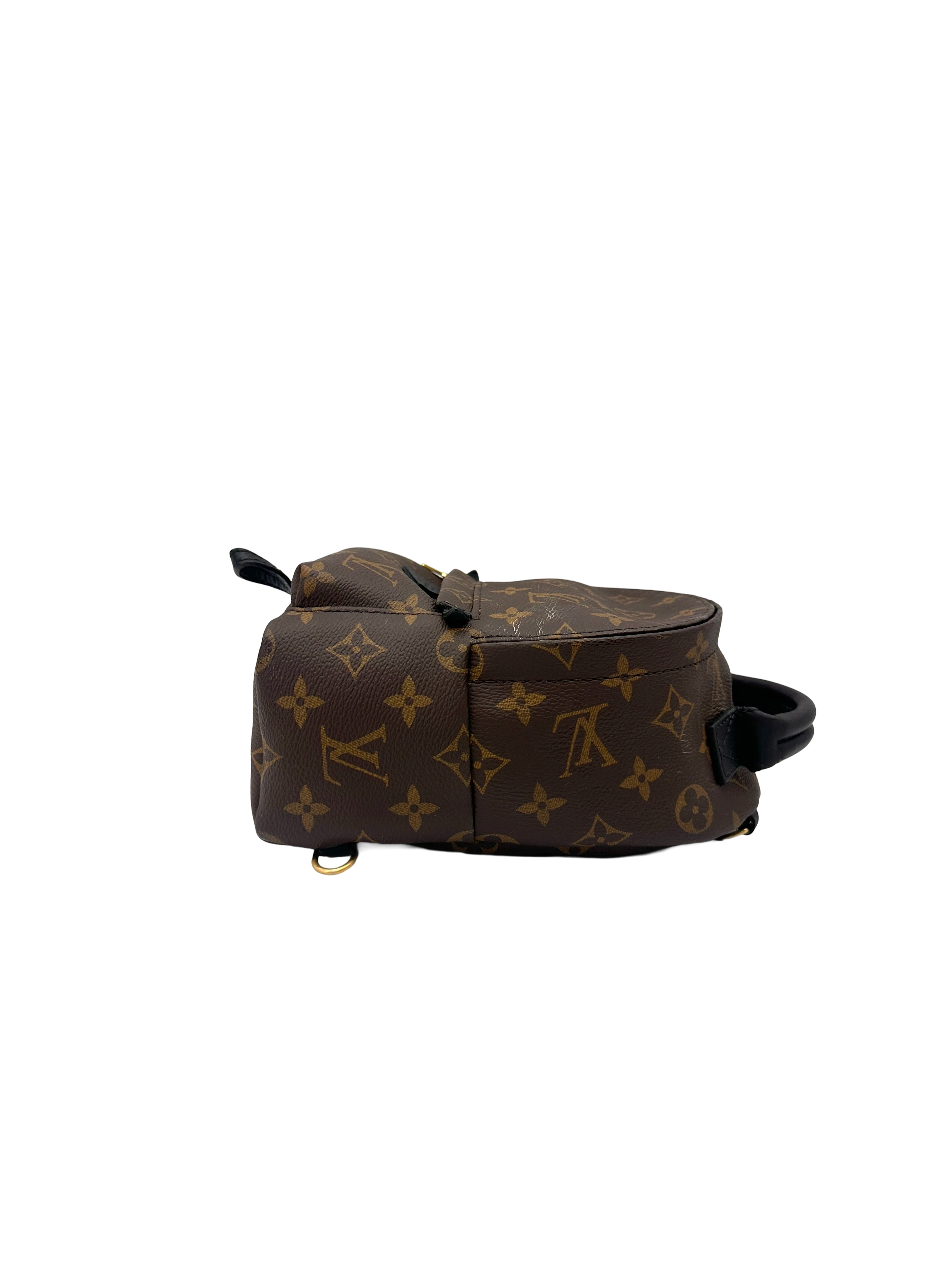 Louis Vuitton Palm Springs Monogram Canvas Mini Backpack LV3373