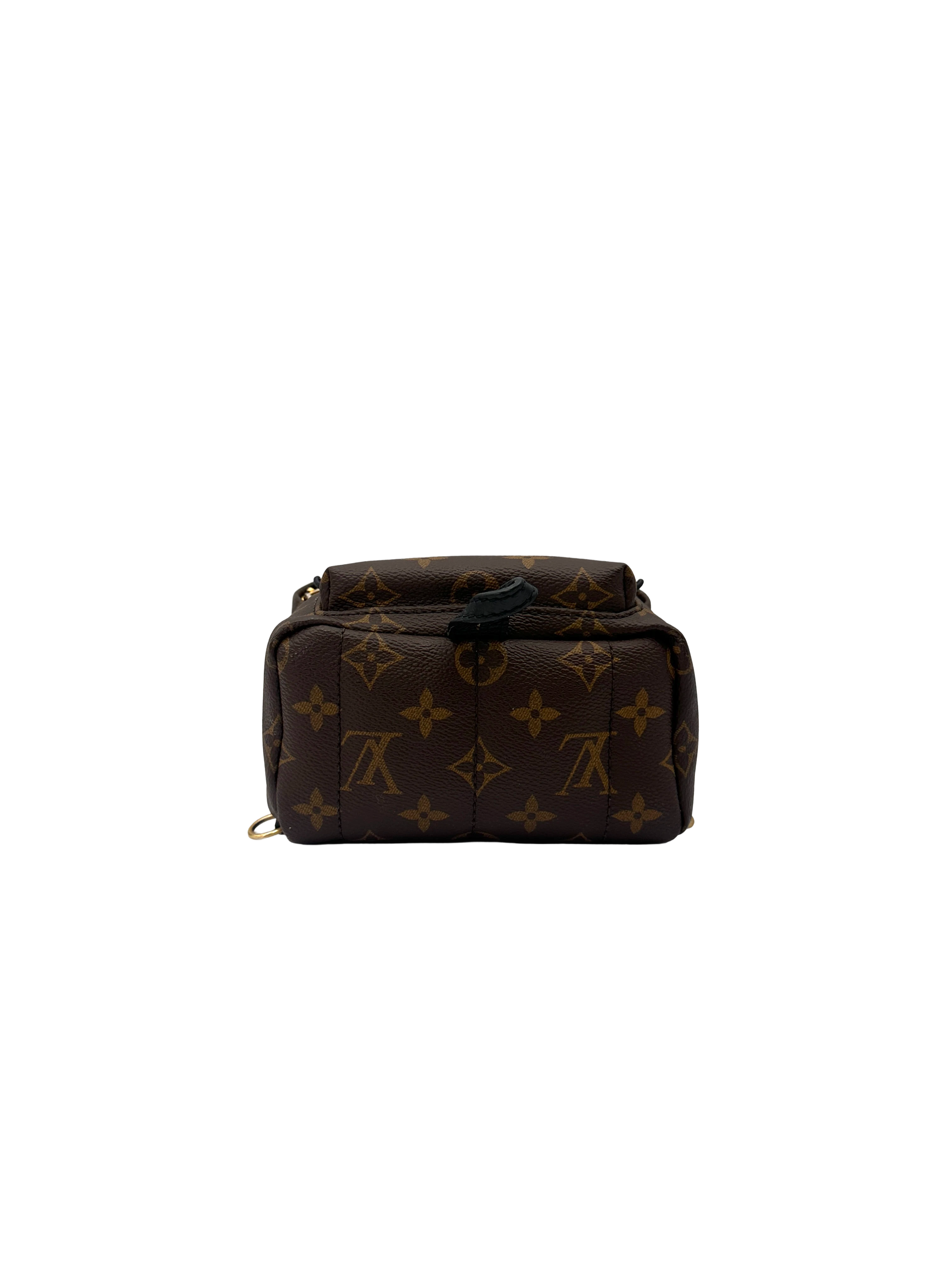 Louis Vuitton Palm Springs Monogram Canvas Mini Backpack LV3373