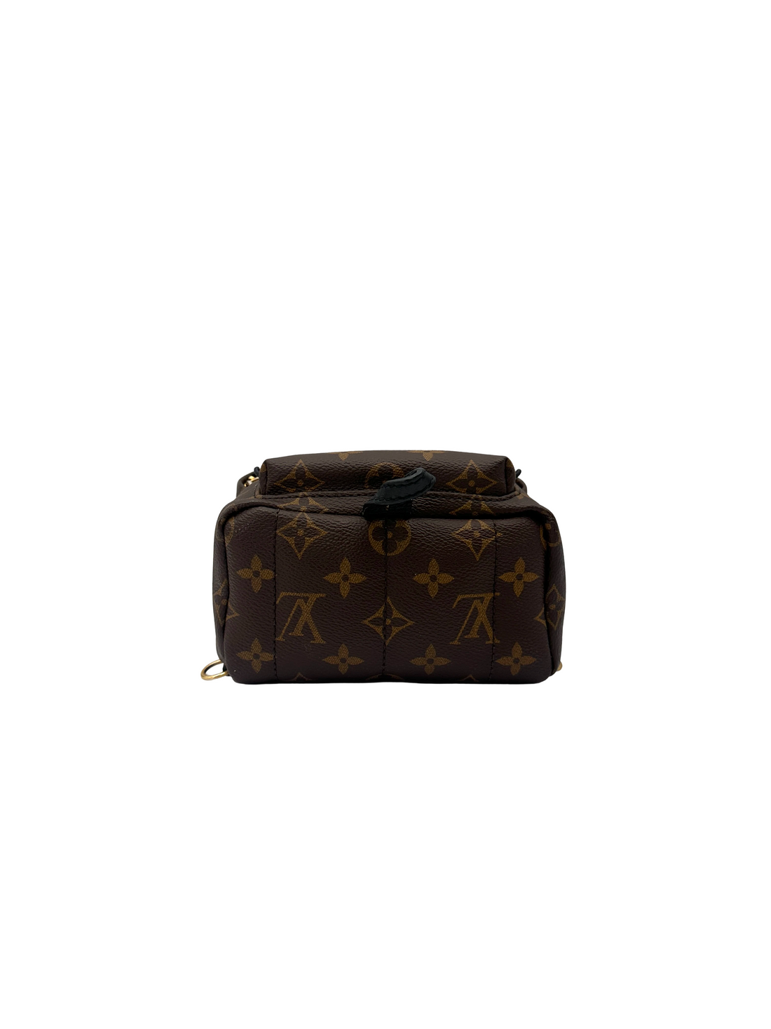 Louis Vuitton Palm Springs Monogram Canvas Mini Backpack LV3373