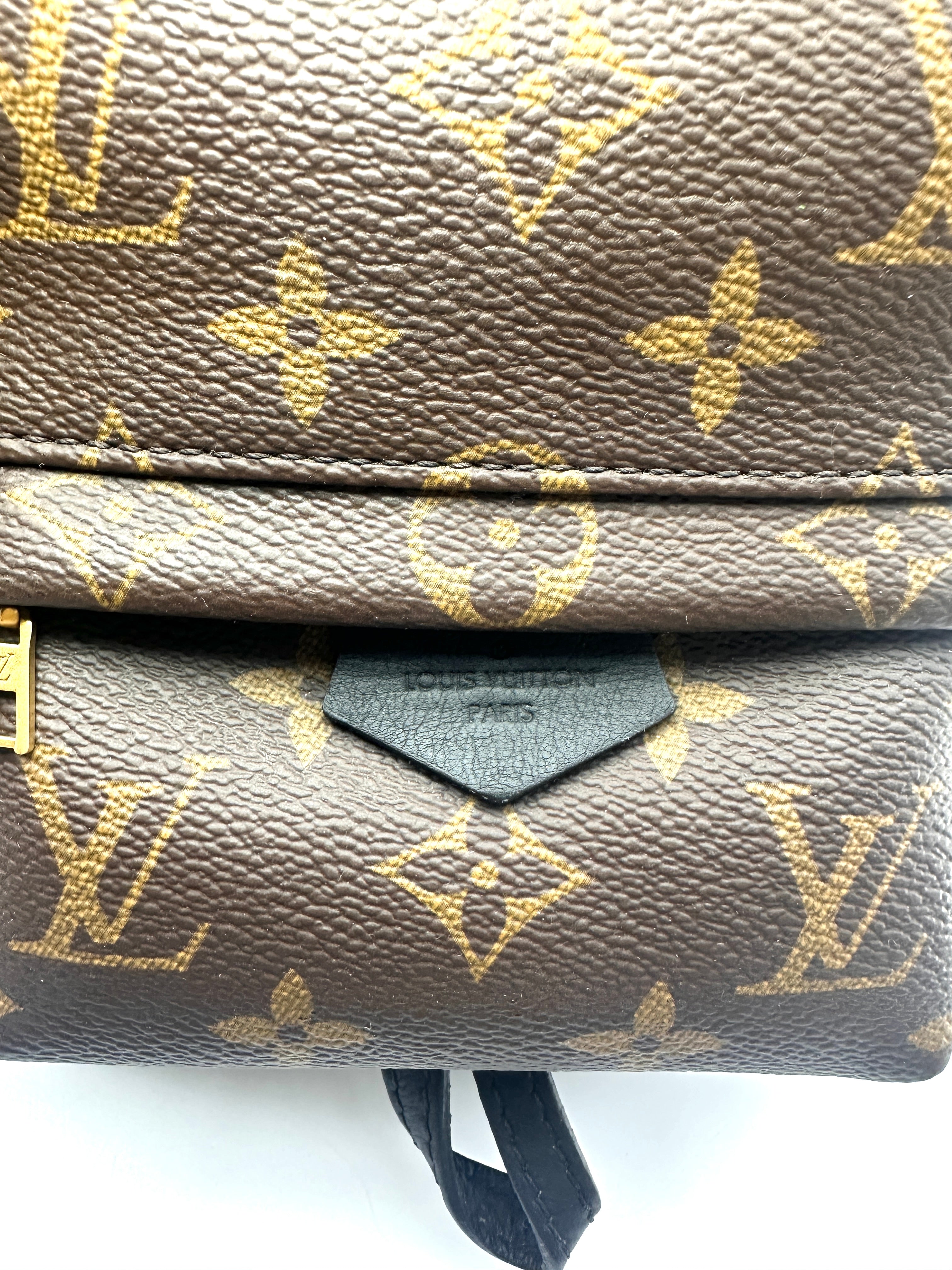 Louis Vuitton Palm Springs Monogram Canvas Mini Backpack LV3373