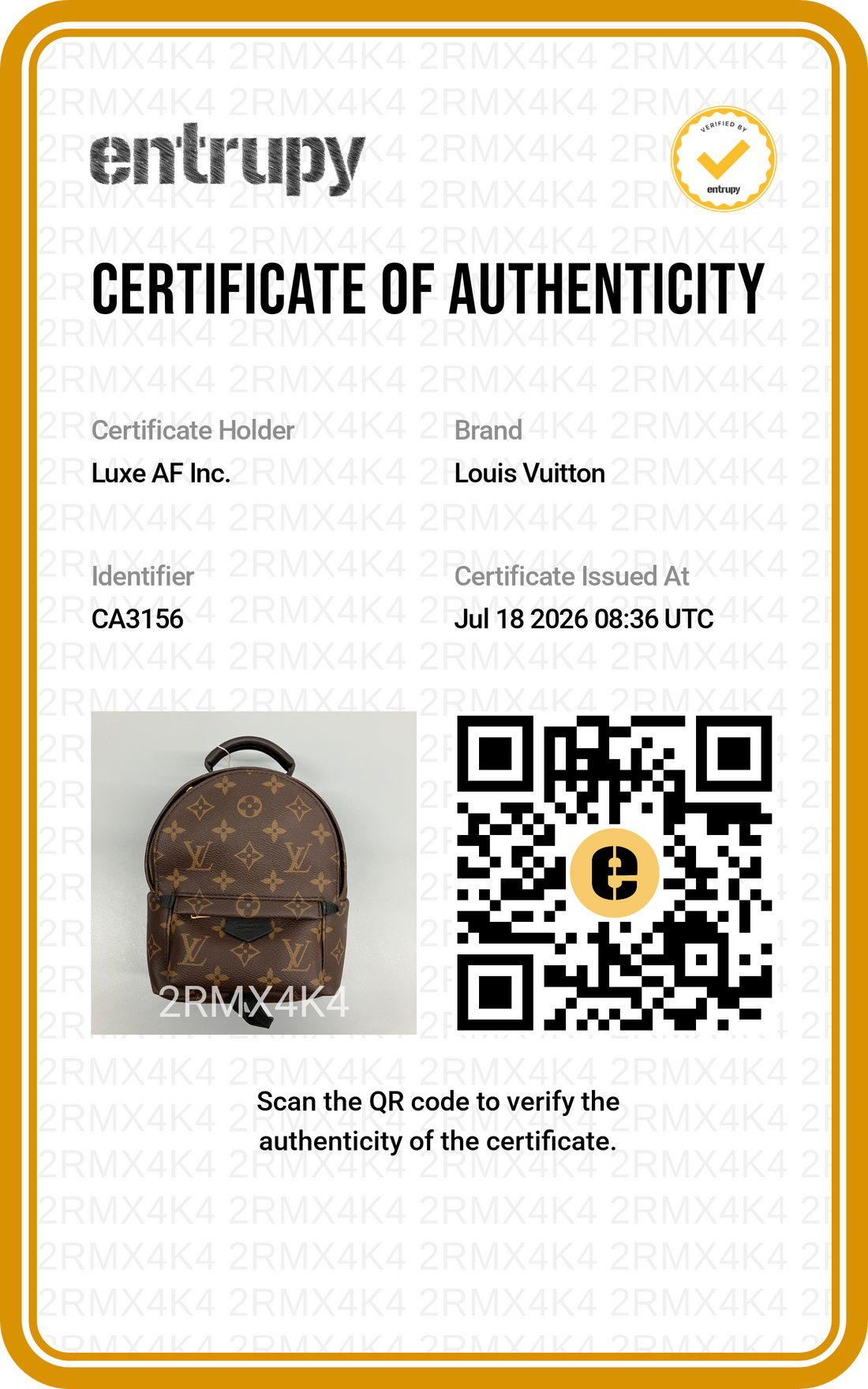 Louis Vuitton Palm Springs Monogram Canvas Mini Backpack LV3373