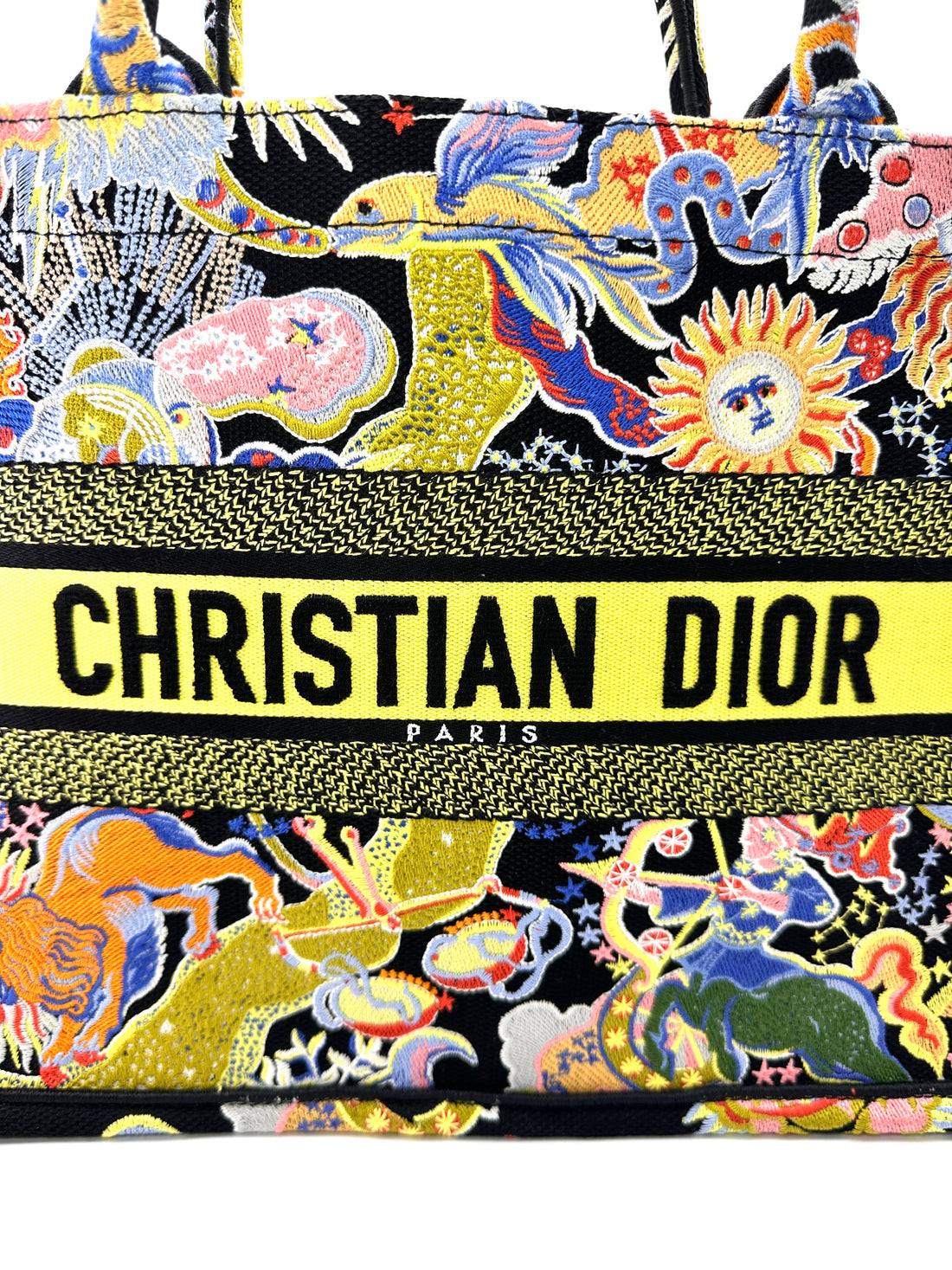 Christian Dior Multicolor Embroidered Canvas Book Tote Bag DR949