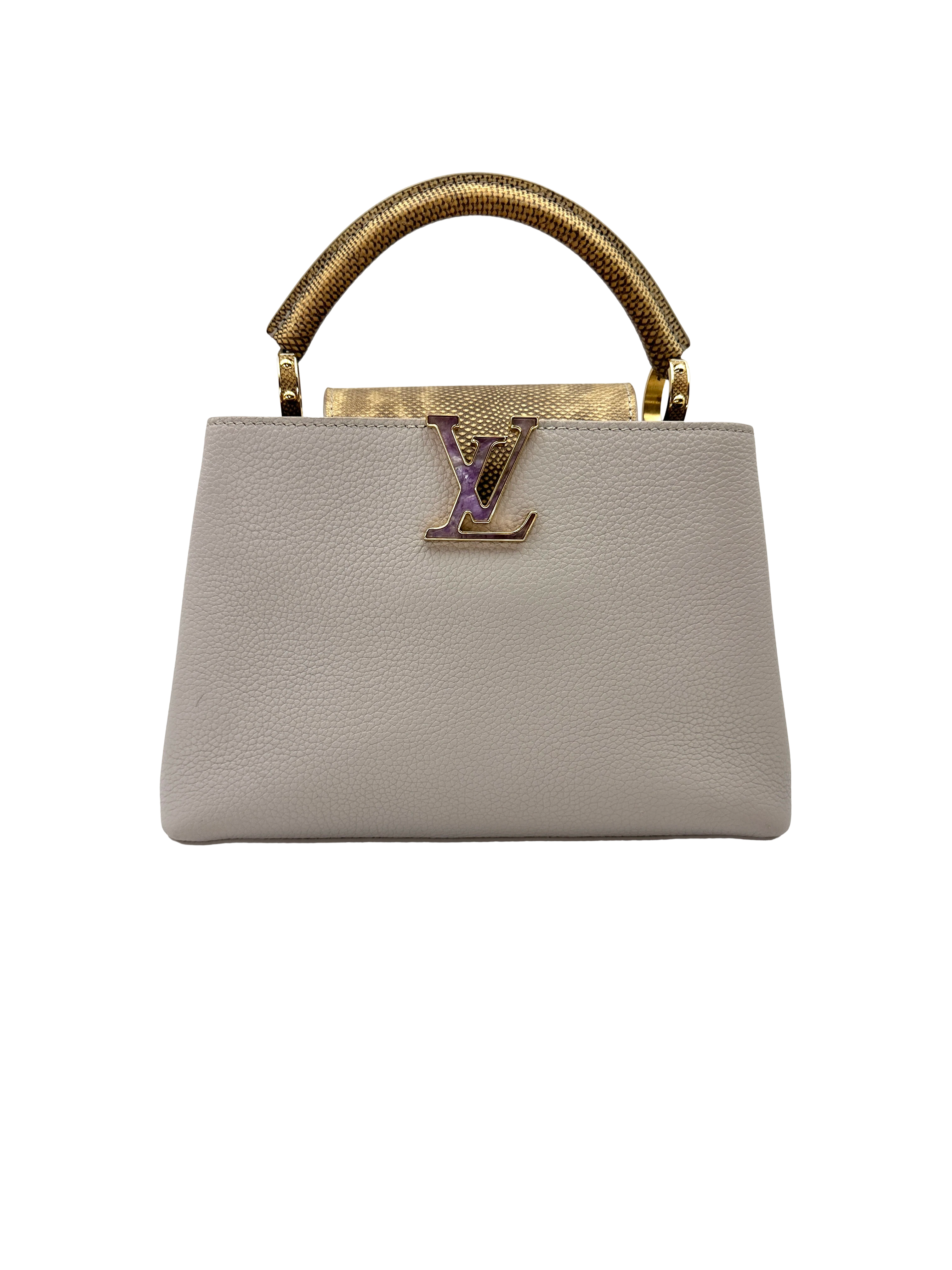 Louis Vuitton Capucines Grey Taurillon Leather Python Handle Bag LV3389