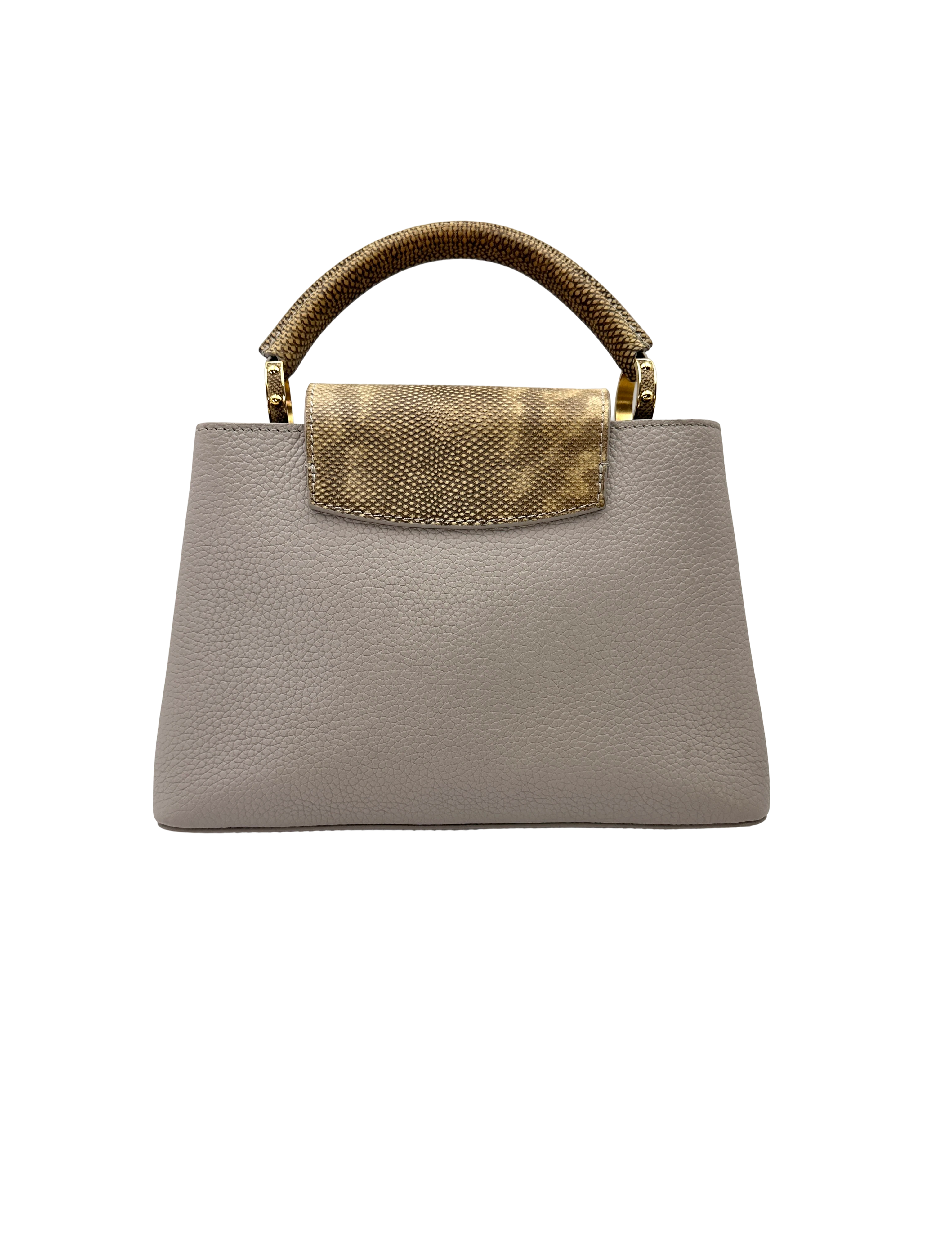 Louis Vuitton Capucines Grey Taurillon Leather Python Handle Bag LV3389