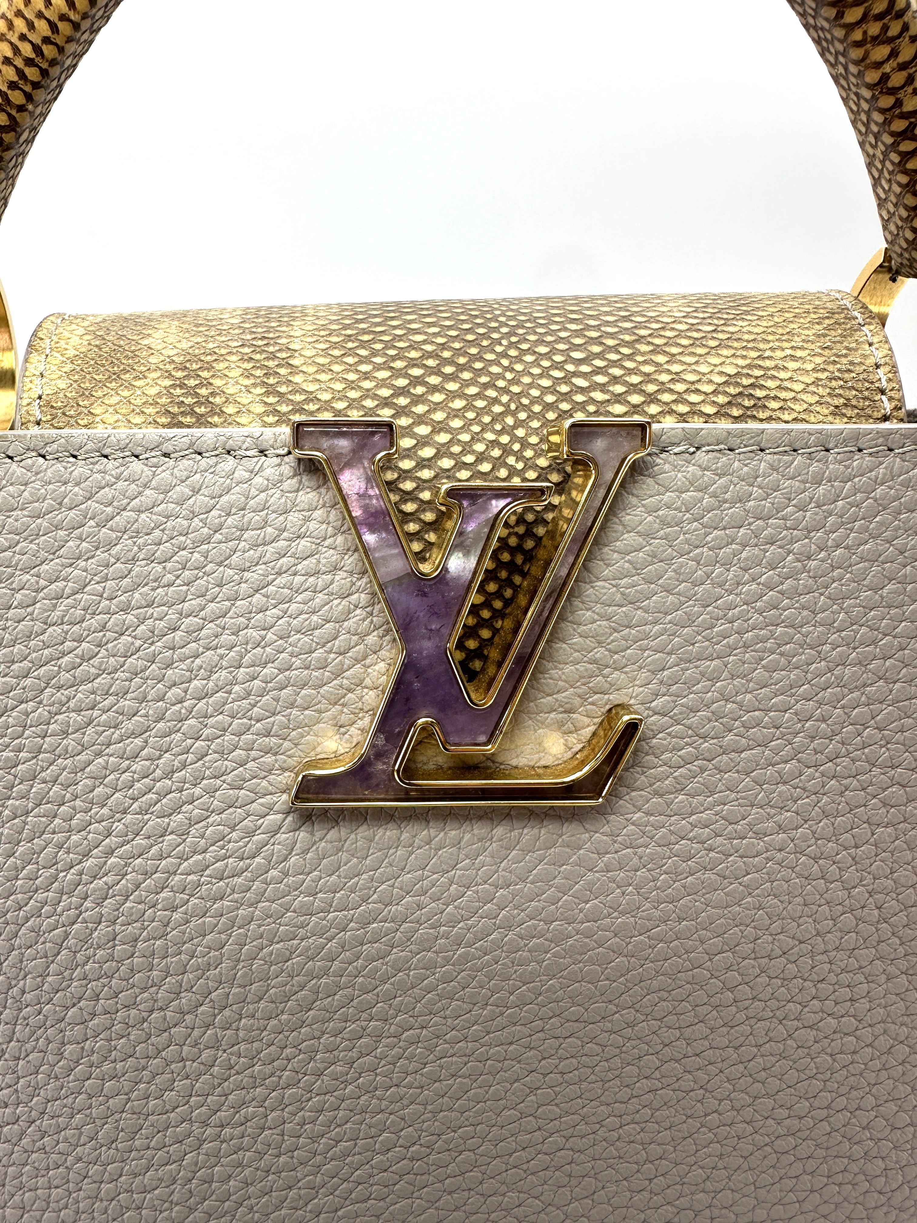 Louis Vuitton Capucines Grey Taurillon Leather Python Handle Bag LV3389
