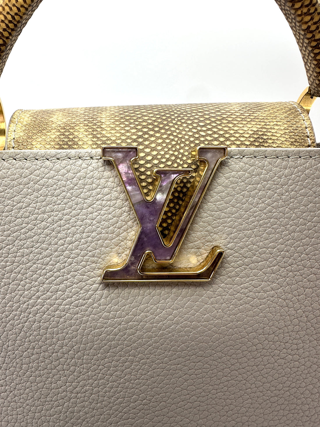 Louis Vuitton Capucines Grey Taurillon Leather Python Handle Bag LV3389